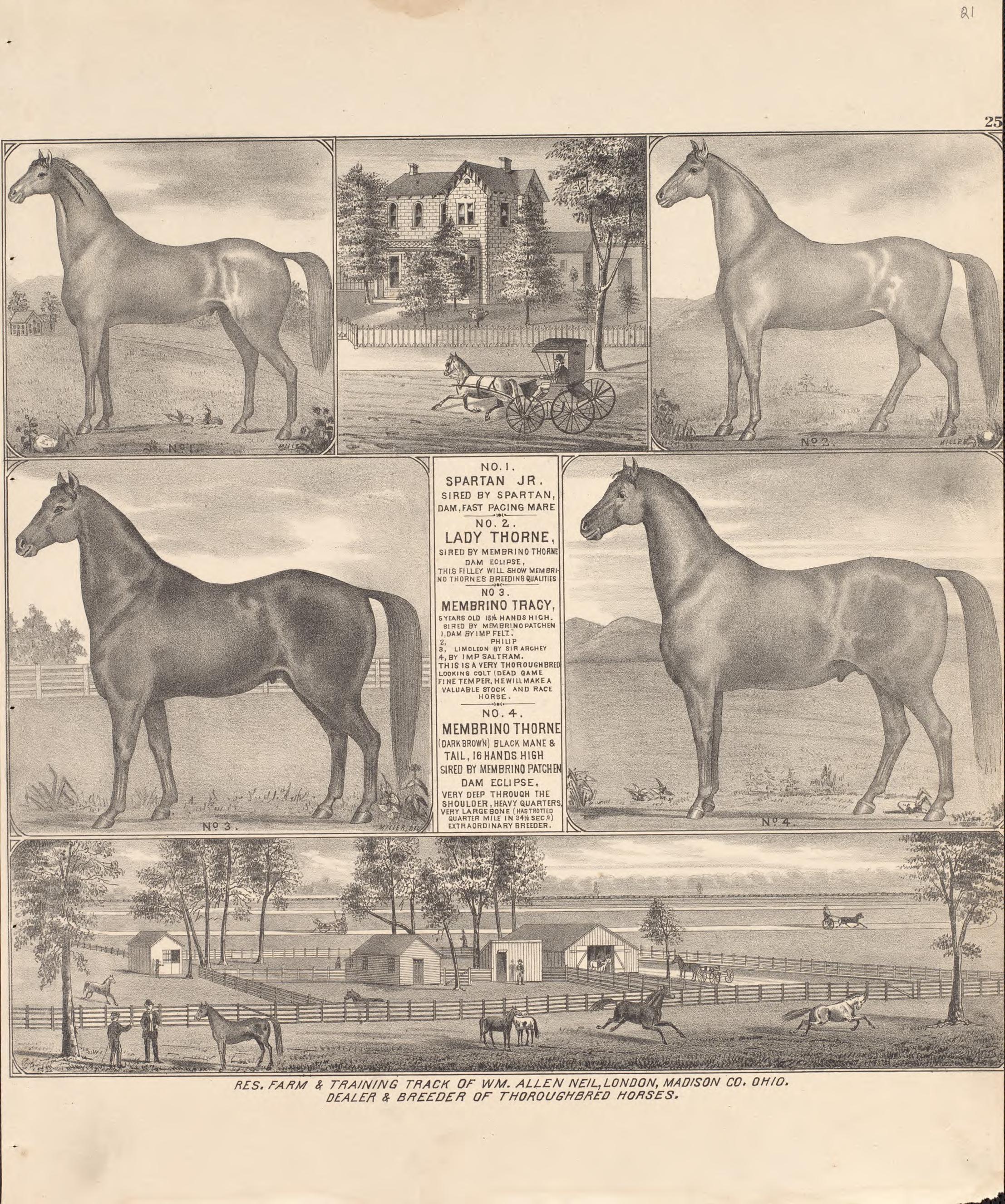 6 Views of Property from Caldwell&