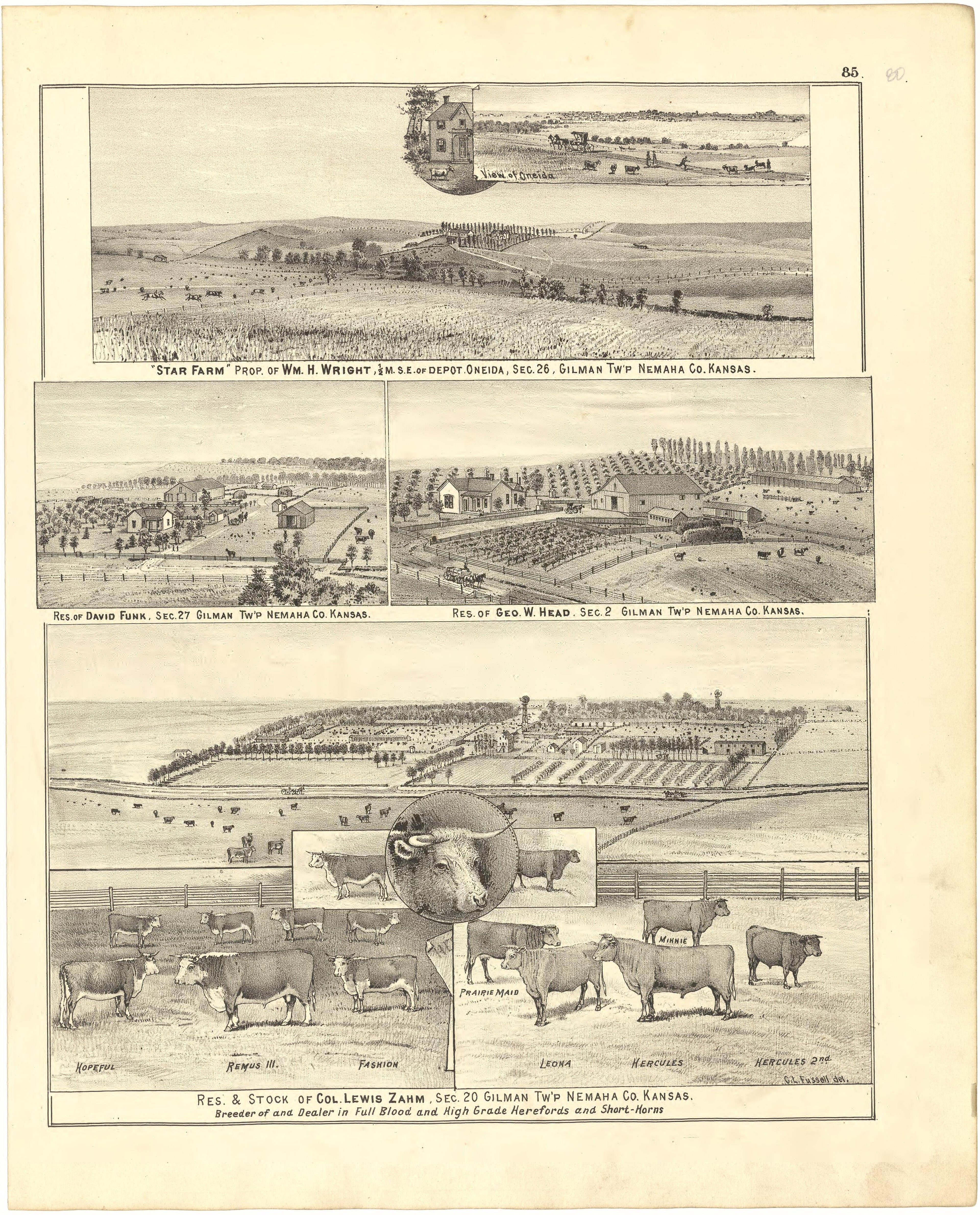 Illustrations from Meacham&