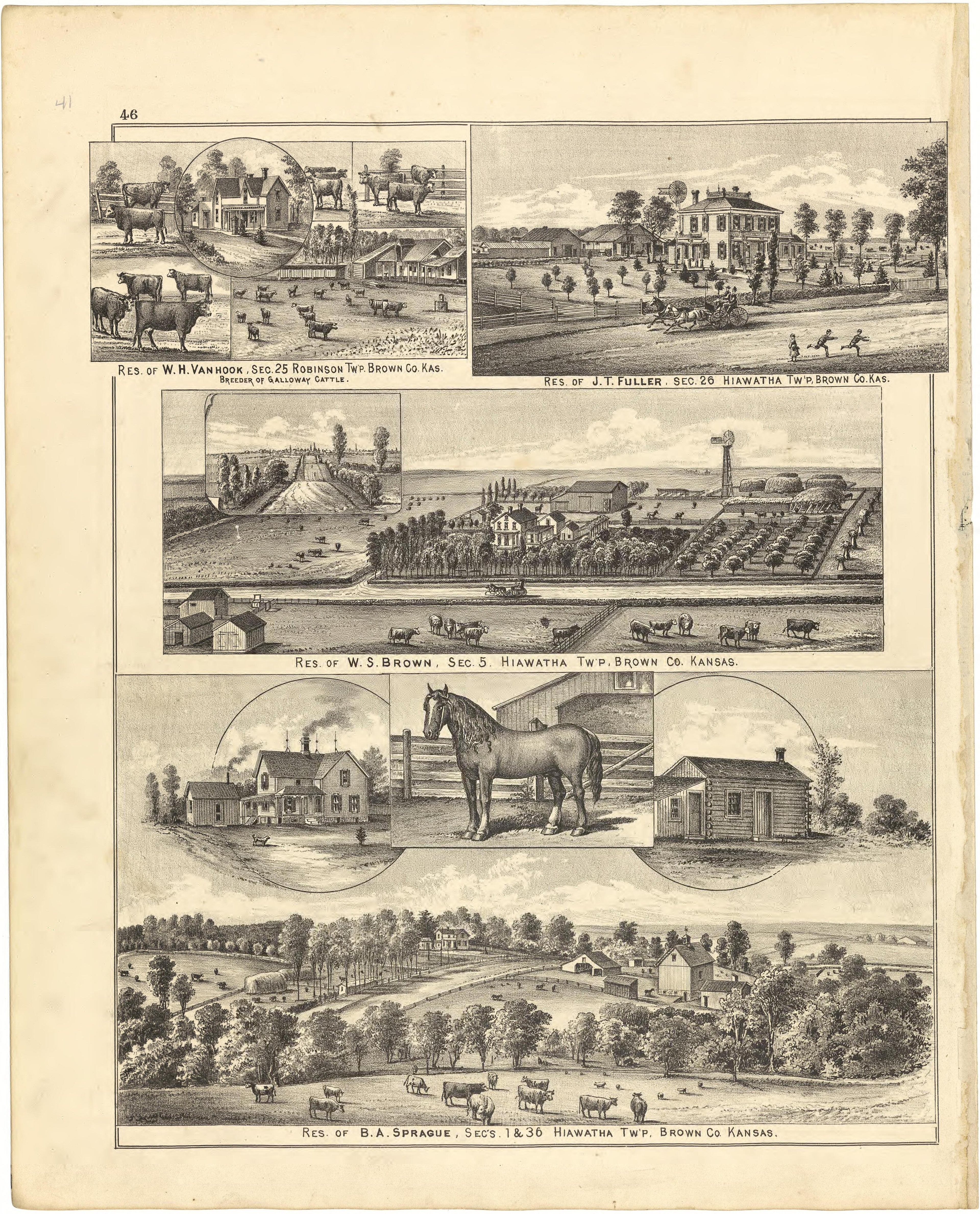 Illustrations from Meacham&