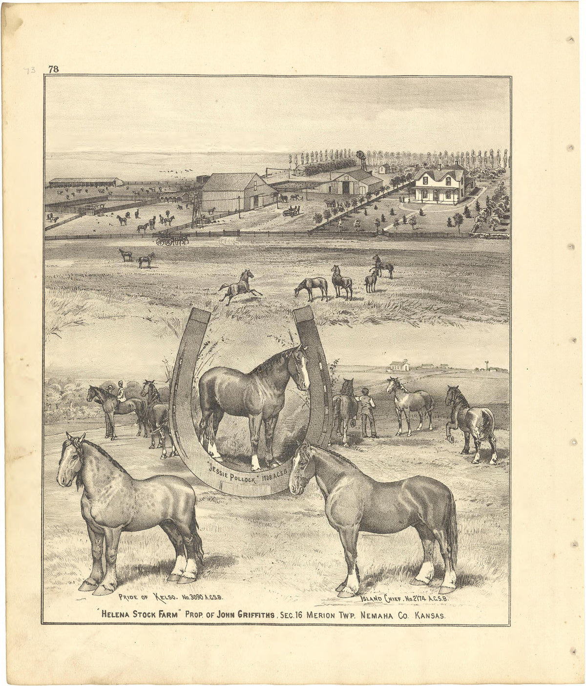 Helena Stock Farm from Meacham&