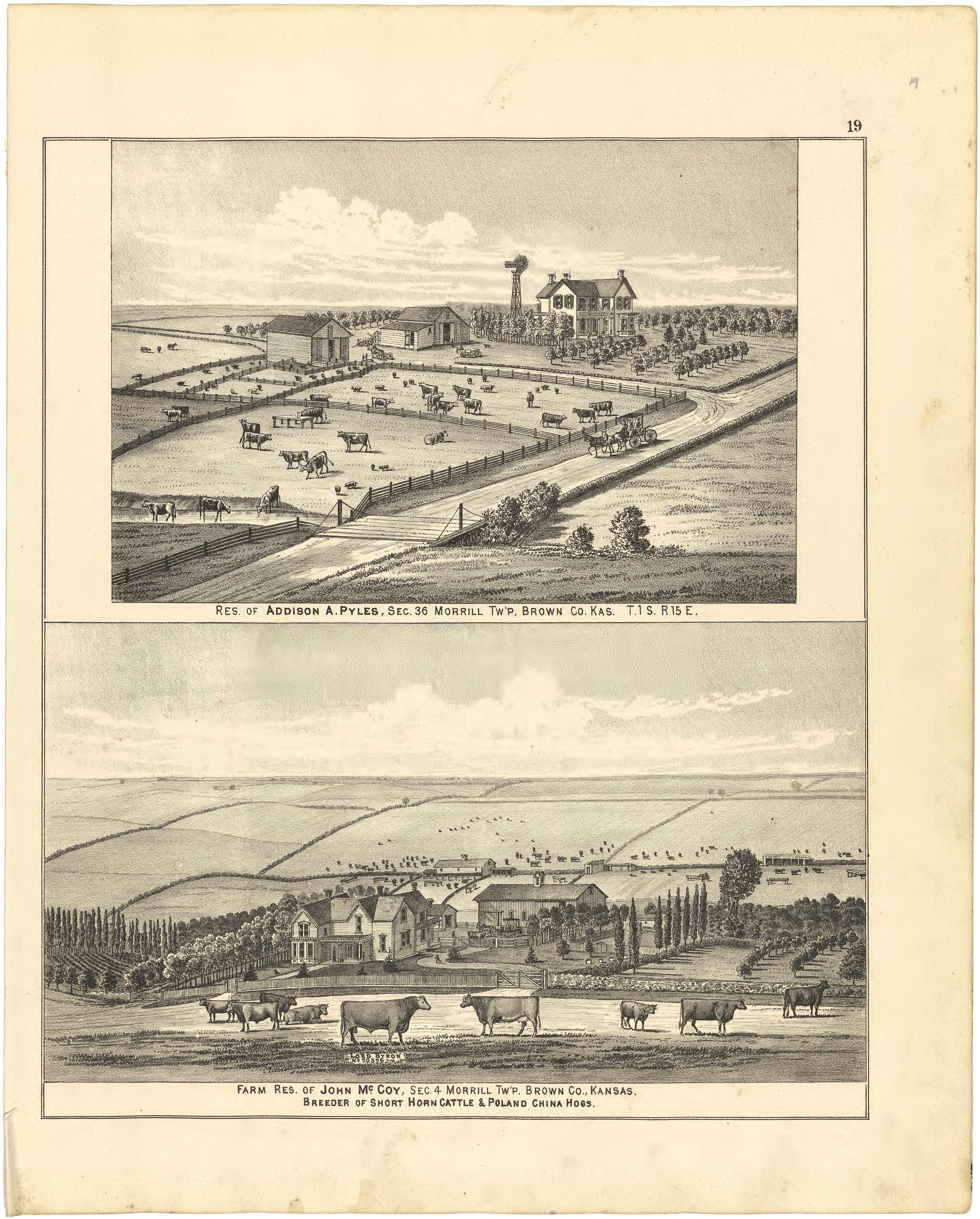 Illustrations from Meacham&