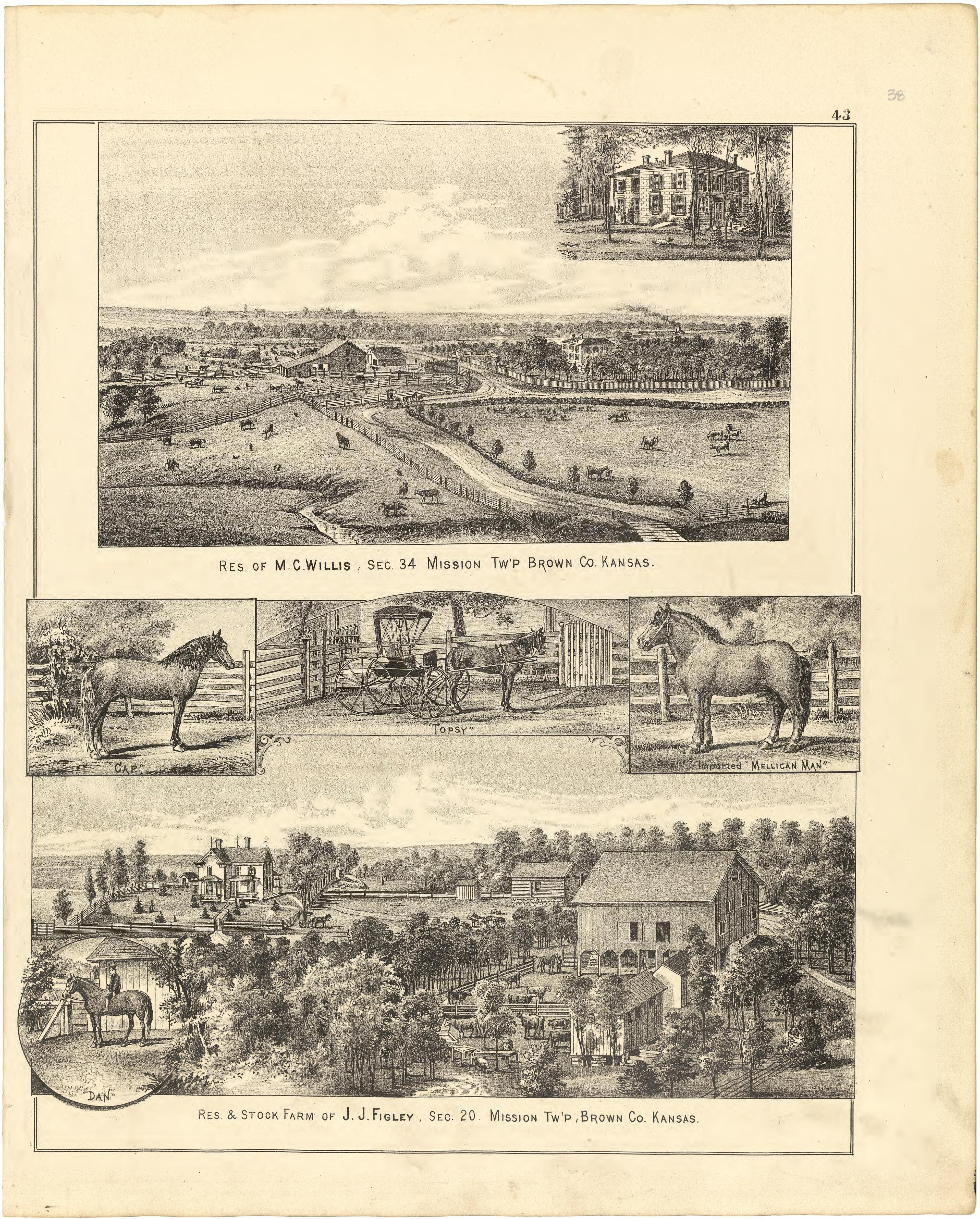 Illustrations from Meacham&