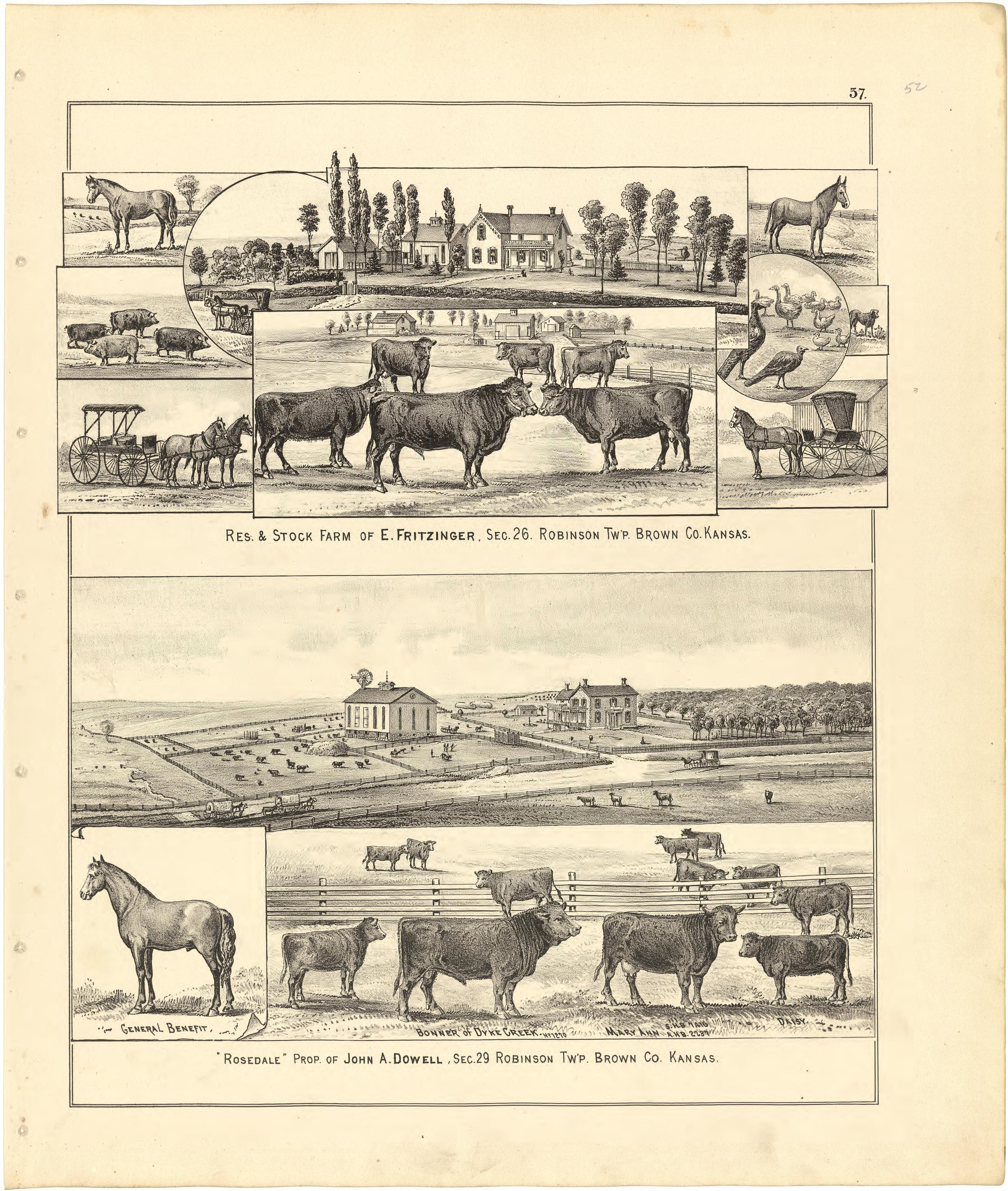 Illustrations from Meacham&