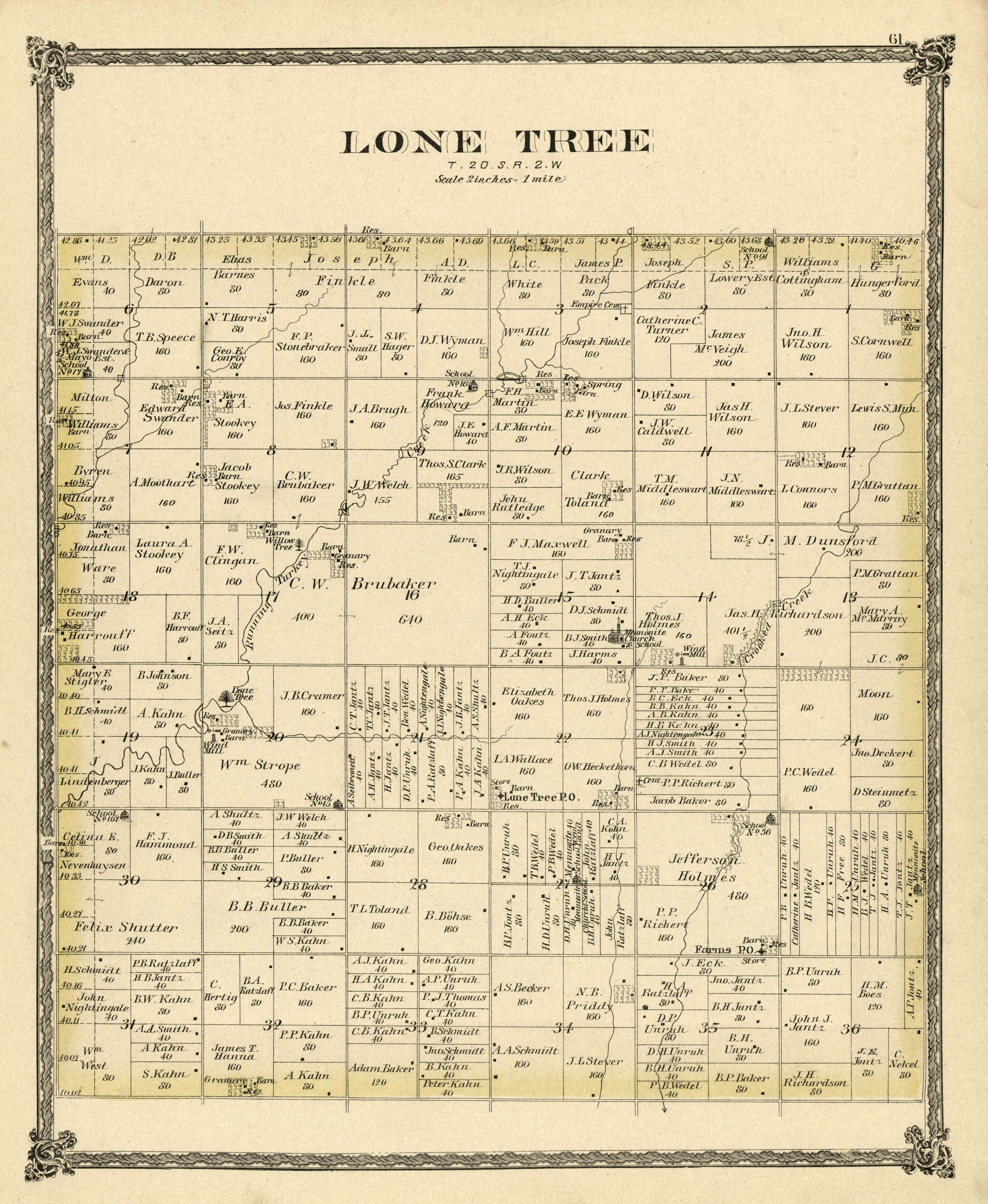 Lone Tree from Edwards&