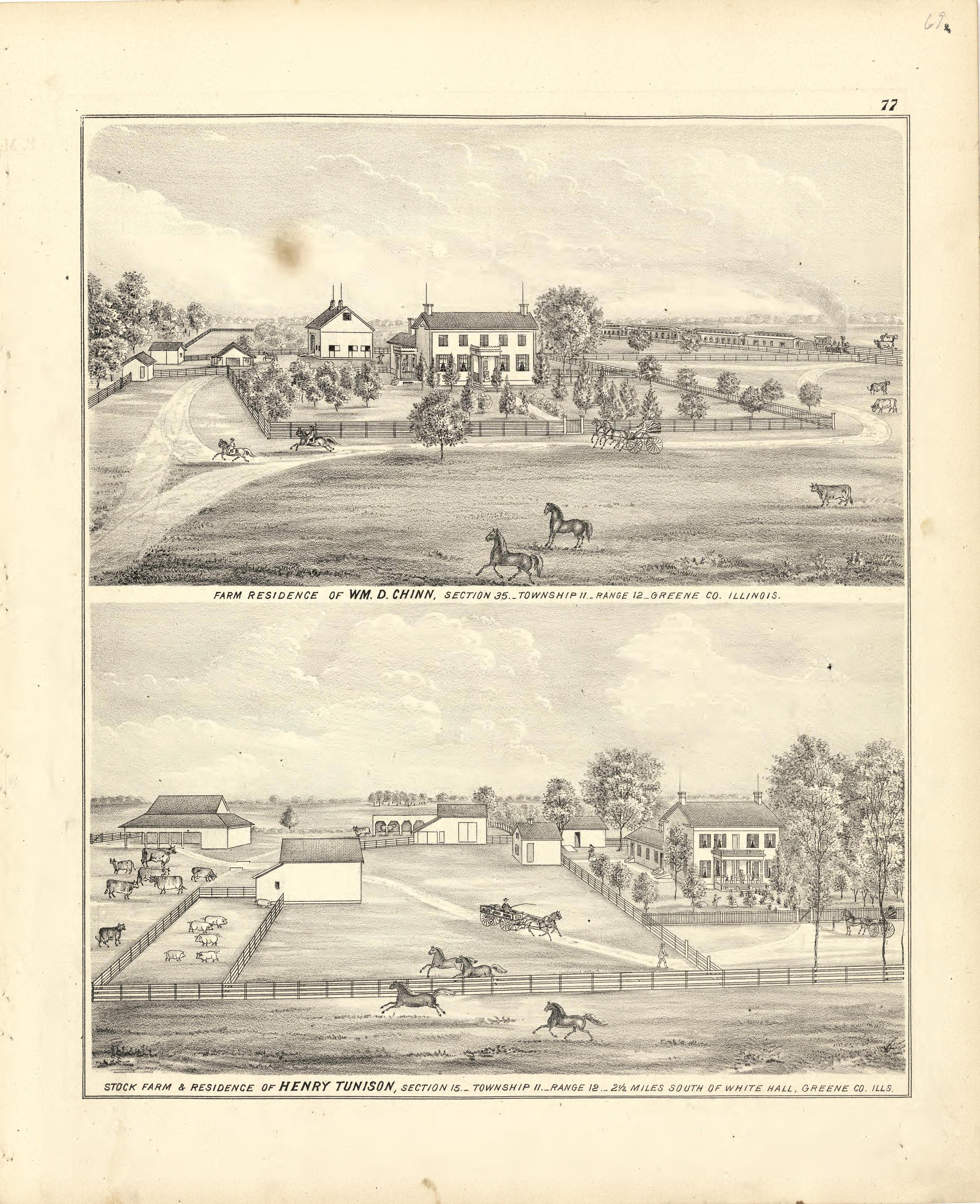 Illustrations of Residences from Atlas Map of Greene County, Illinois 1873 by Relic Map Company