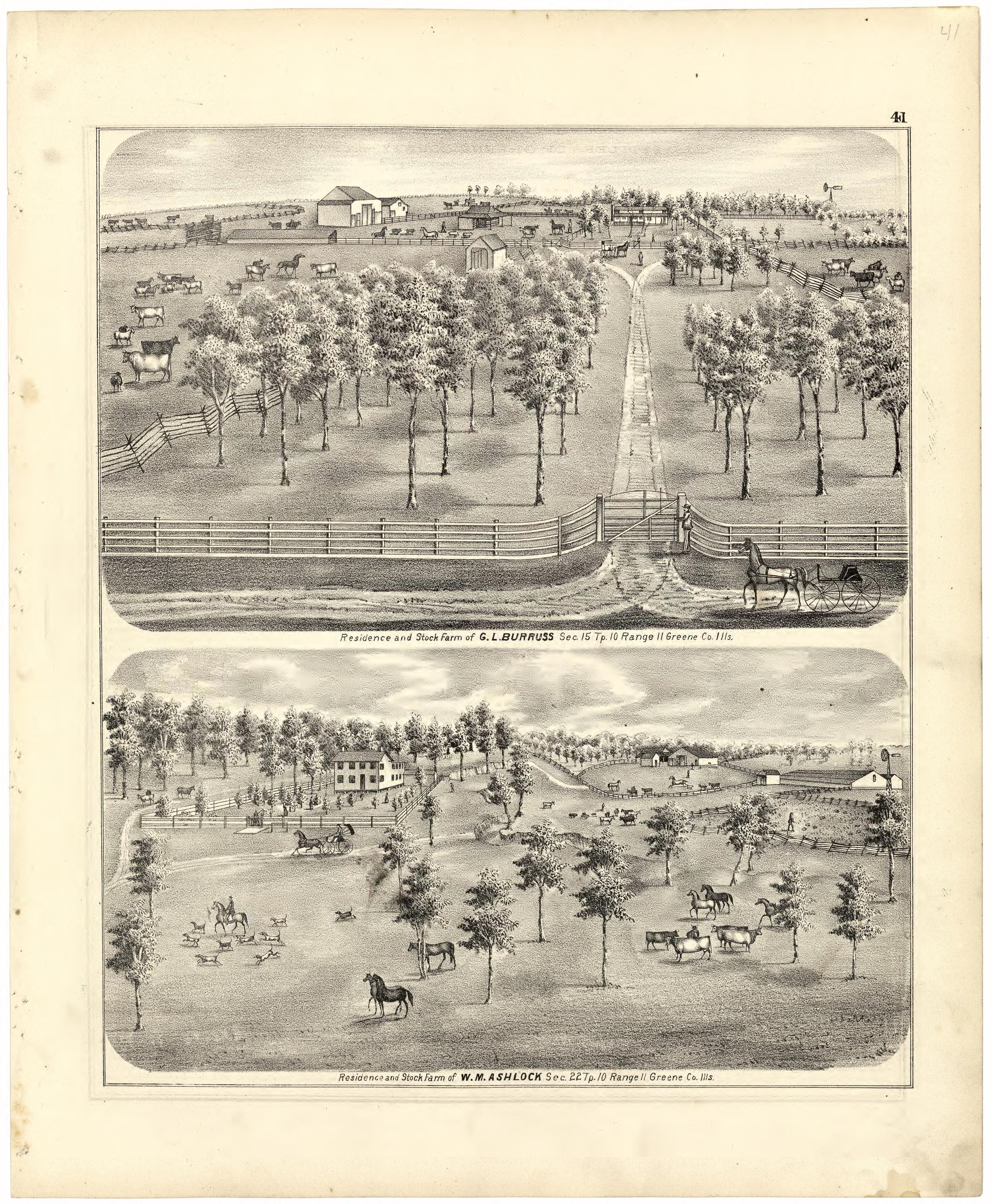 Illustrations of Residences from Atlas Map of Greene County, Illinois 1873 by Relic Map Company