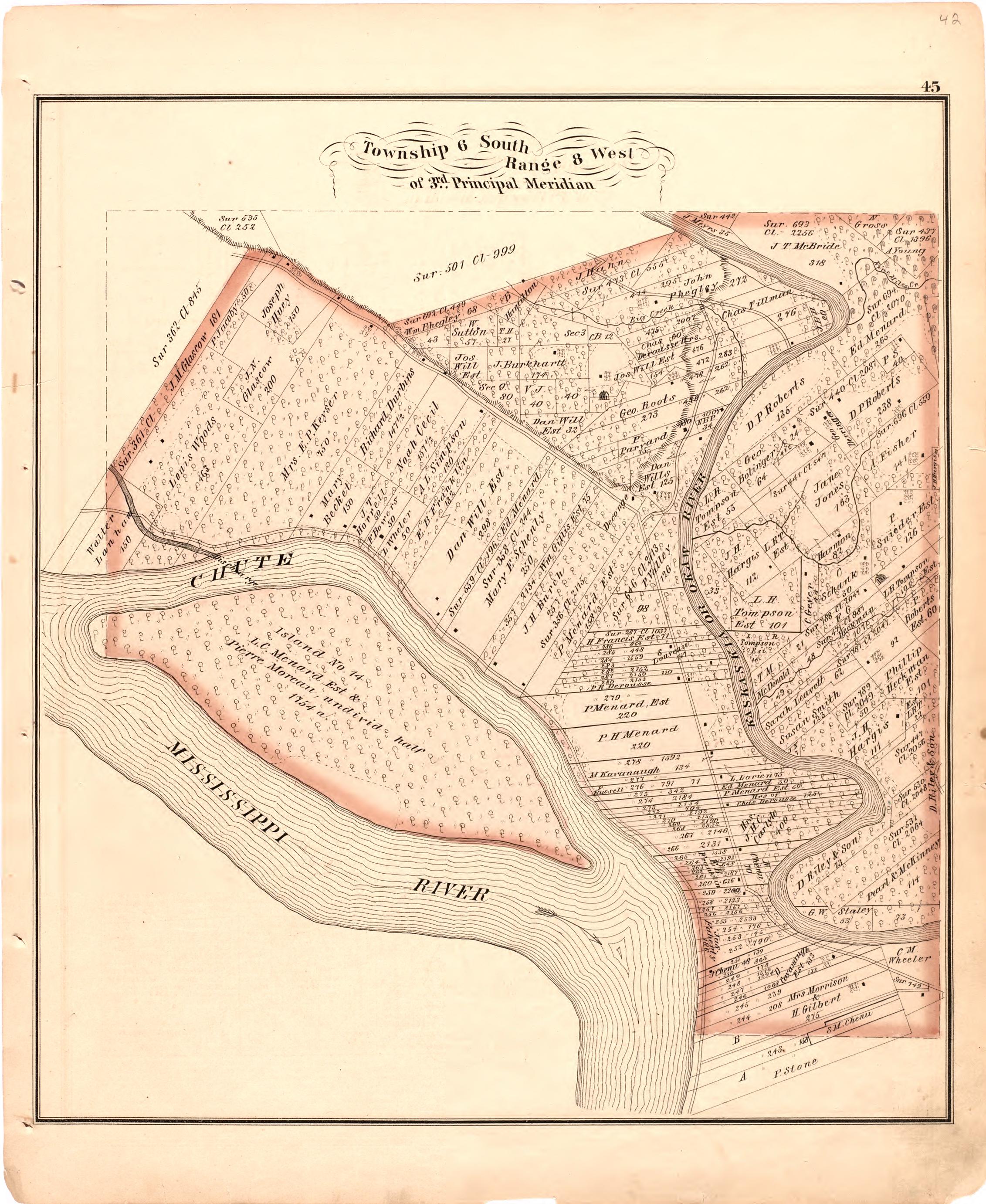 Township 6 South Range 8 West of 3rd Principal Meridian from an Illustrated Historical Atlas Map of Randolph County, Ills. : Carefully Compiled from Personal Examinations and Surveys 1875 by Relic Map Company