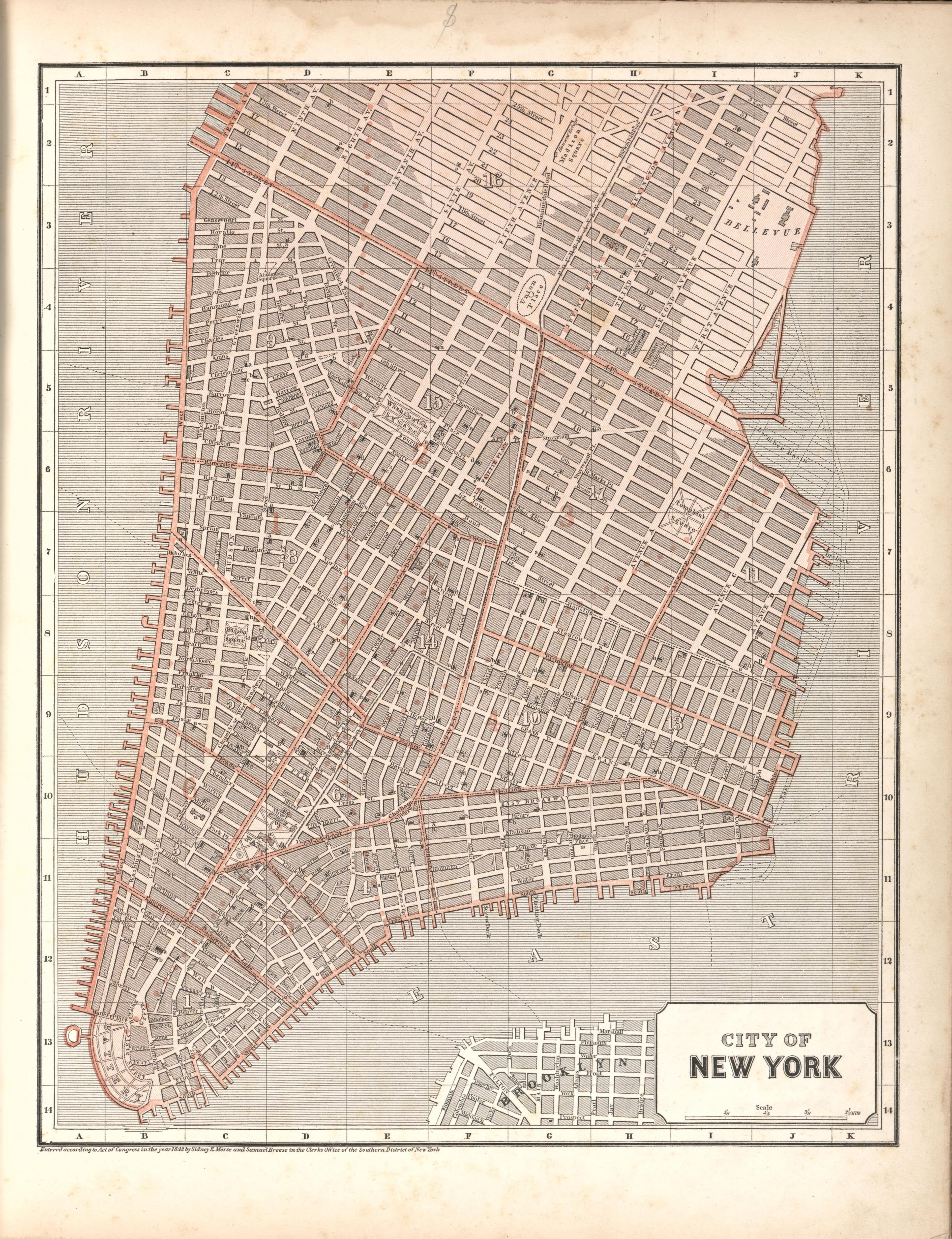 City of New York from Morse&