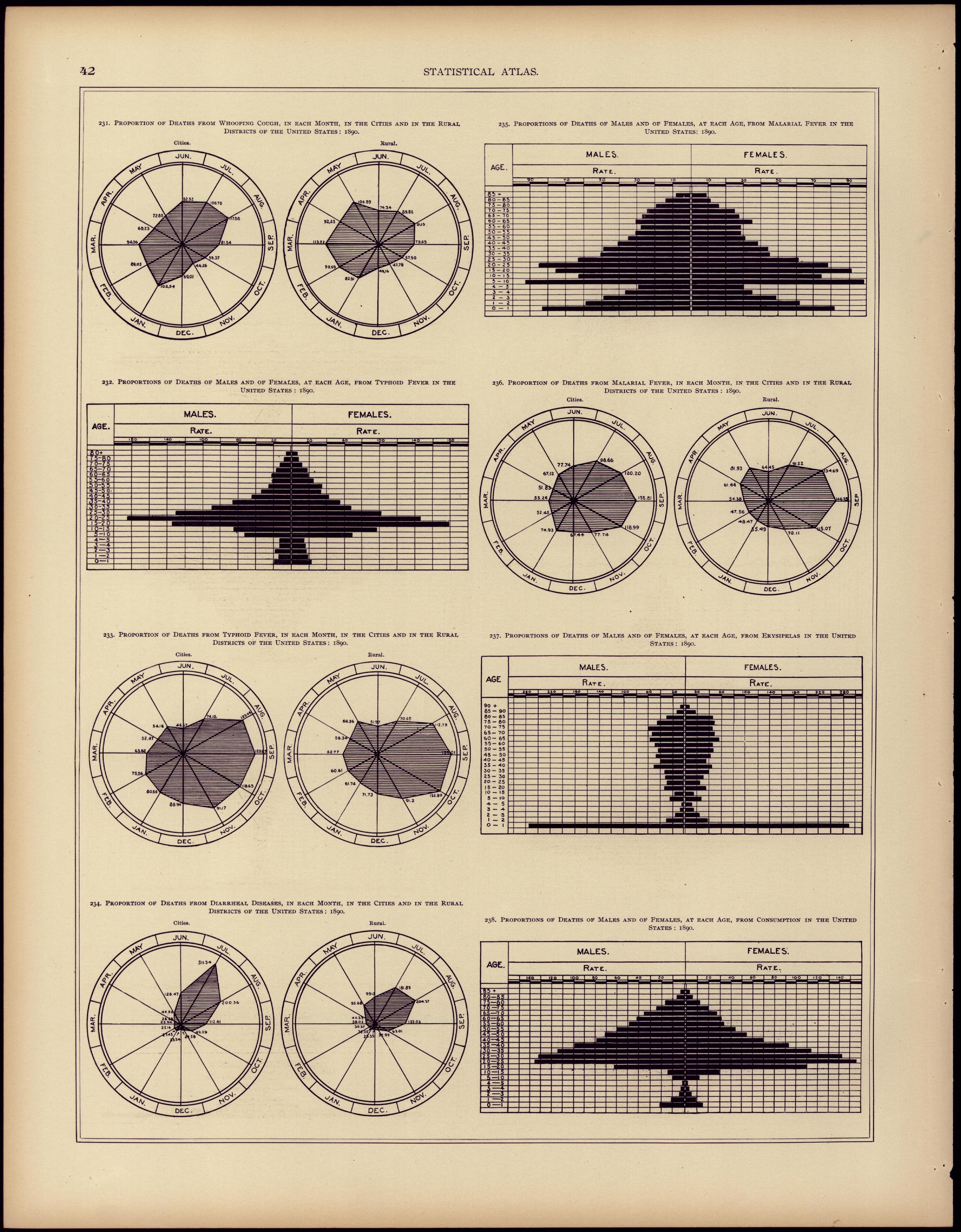 Mortality (continued) from Statistical Atlas of the United States, Based Upon the Results of the Eleventh Census 1898 by Relic Map Company