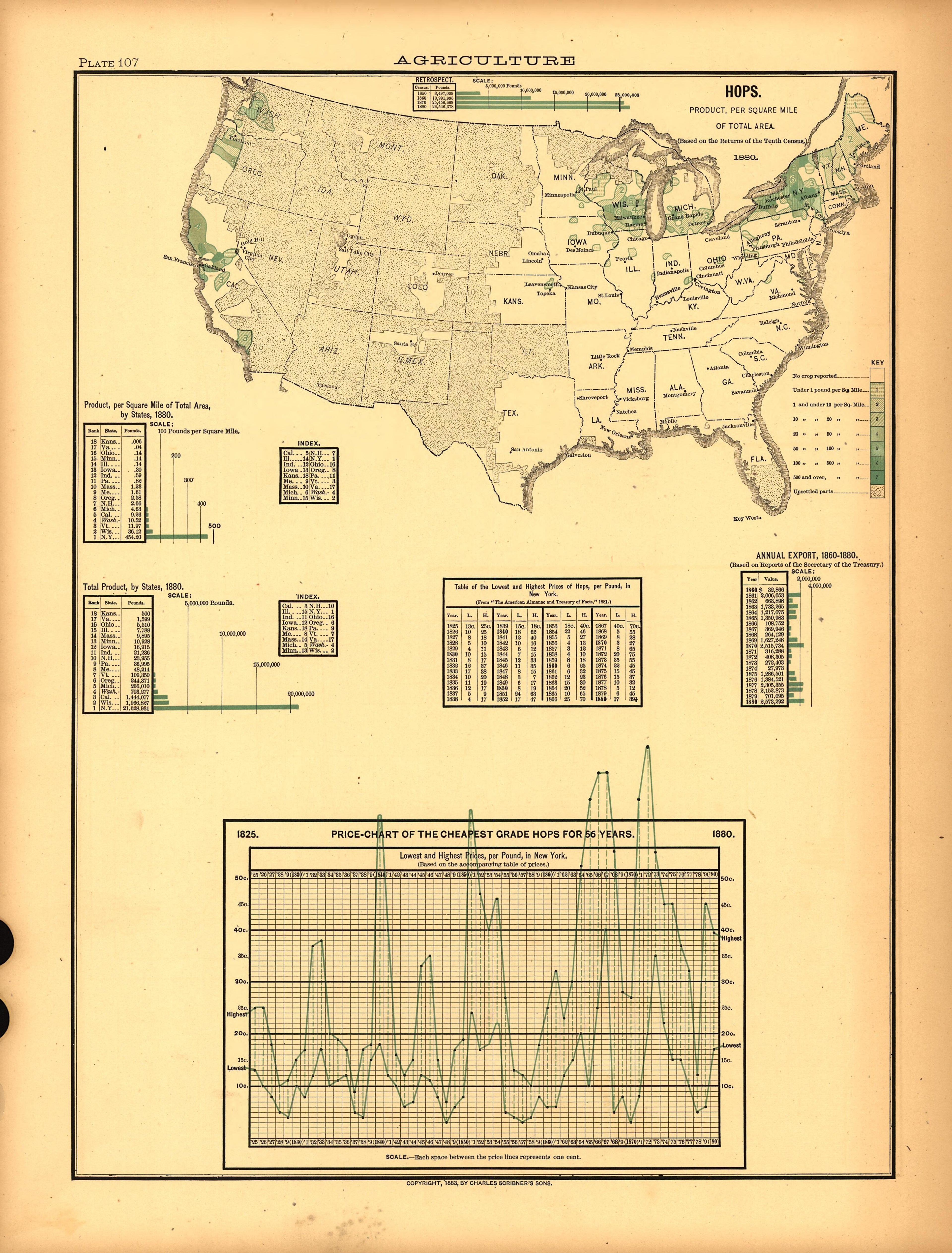 Plate 107: Agriculture (Hops) from Scribner&