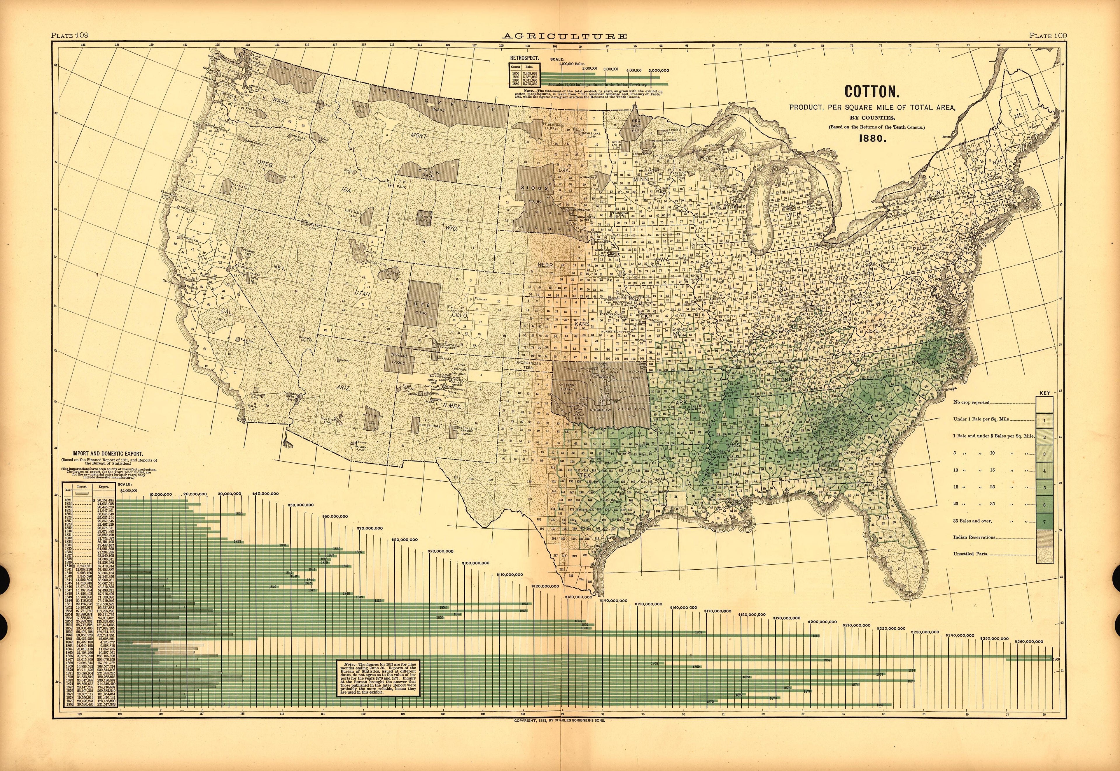 Plate 109: Agriculture (Cotton) from Scribner&