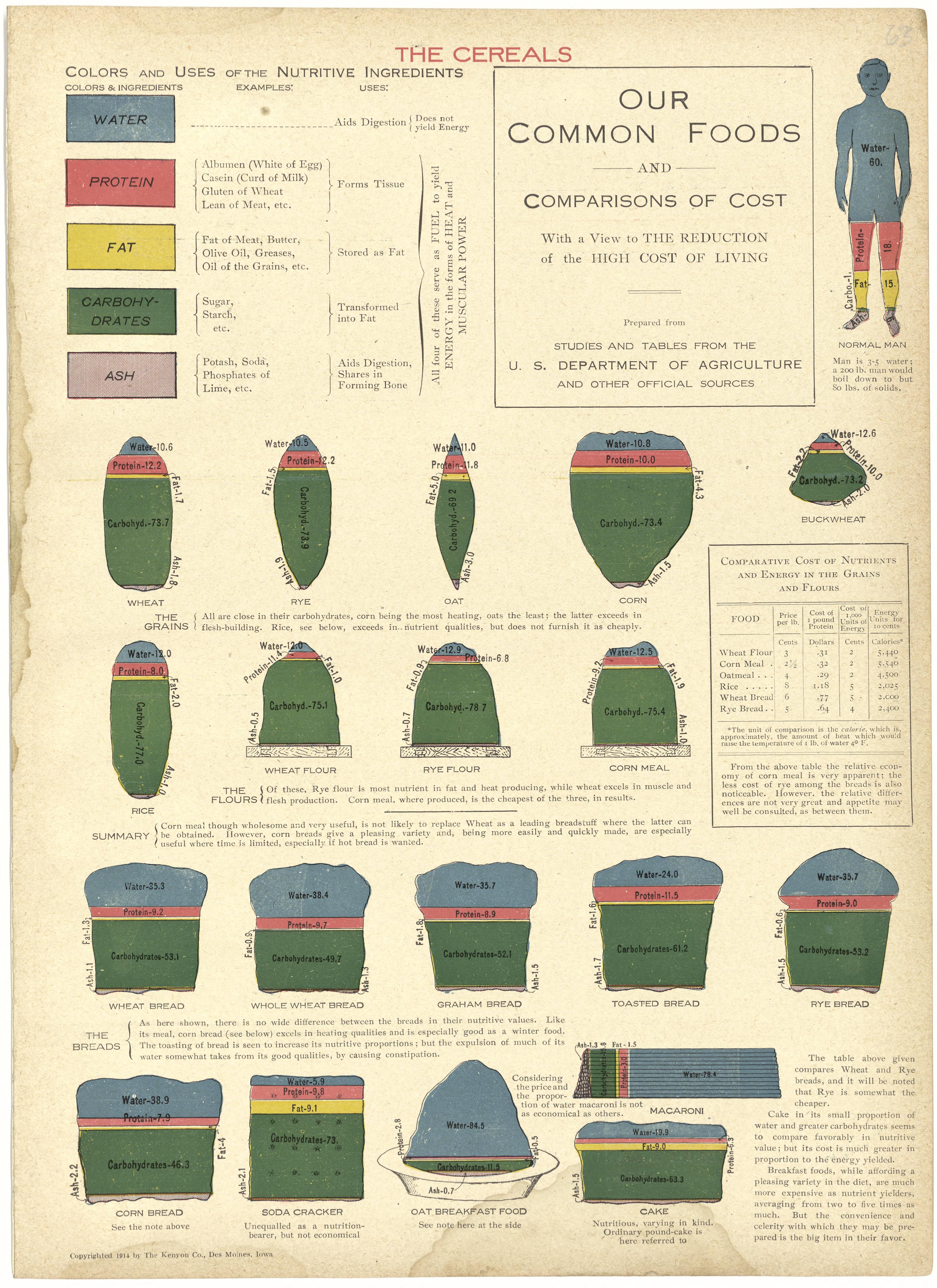 Our Common Foods and Comparisons of Cost from Atlas and Plat Book of Jasper County, Iowa : Containing Outline Map of the County, Plats of All the Townships With Owners&
