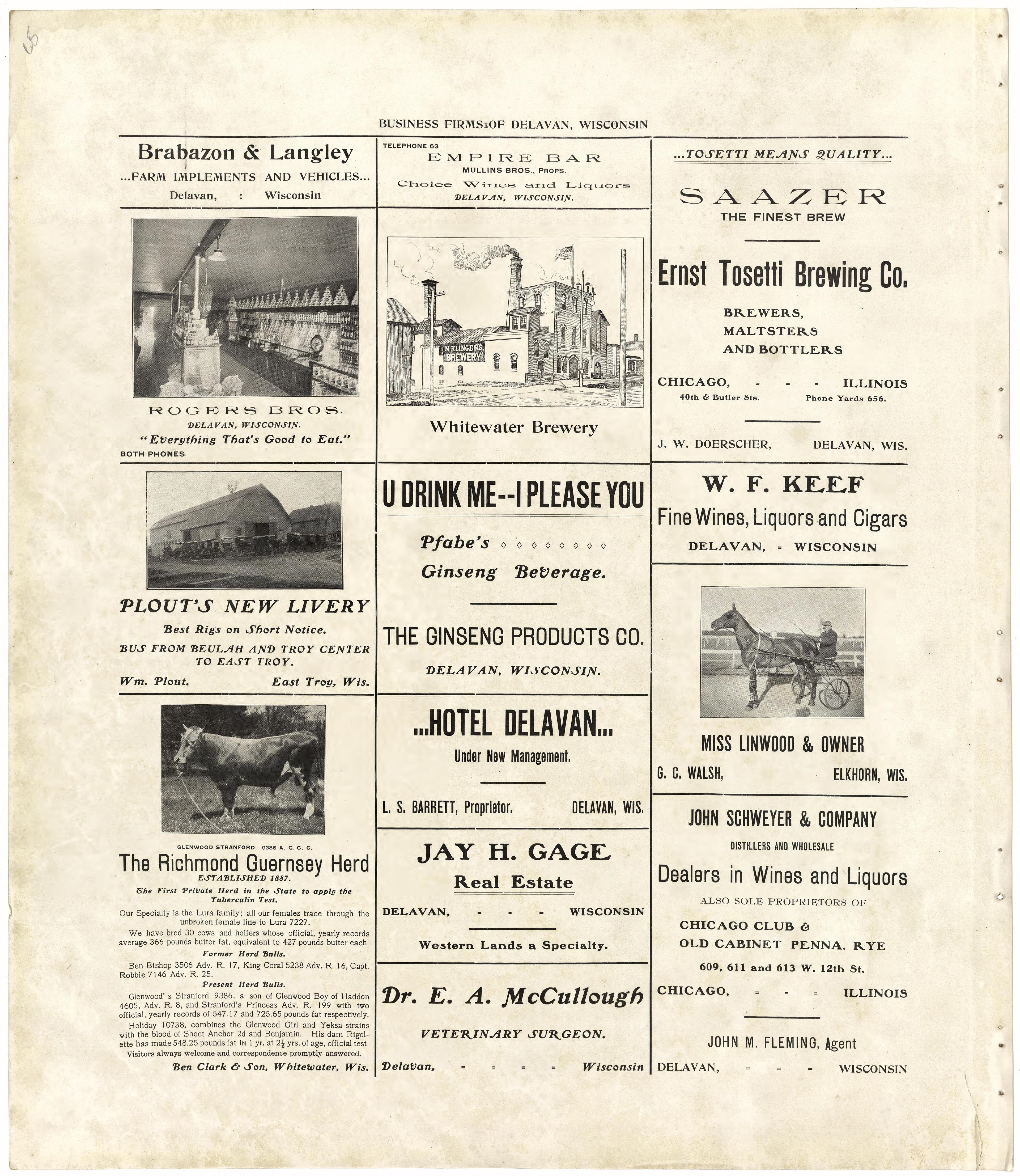 Business Firms of Delavan, Wisconsin from Standard Atlas of Walworth County, Wisconsin : Including a Plat Book of the Villages, Cities and Townships of the County, Patrons Directory, Reference Business Directory and Departments Devoted to General Info... by Relic Map Company