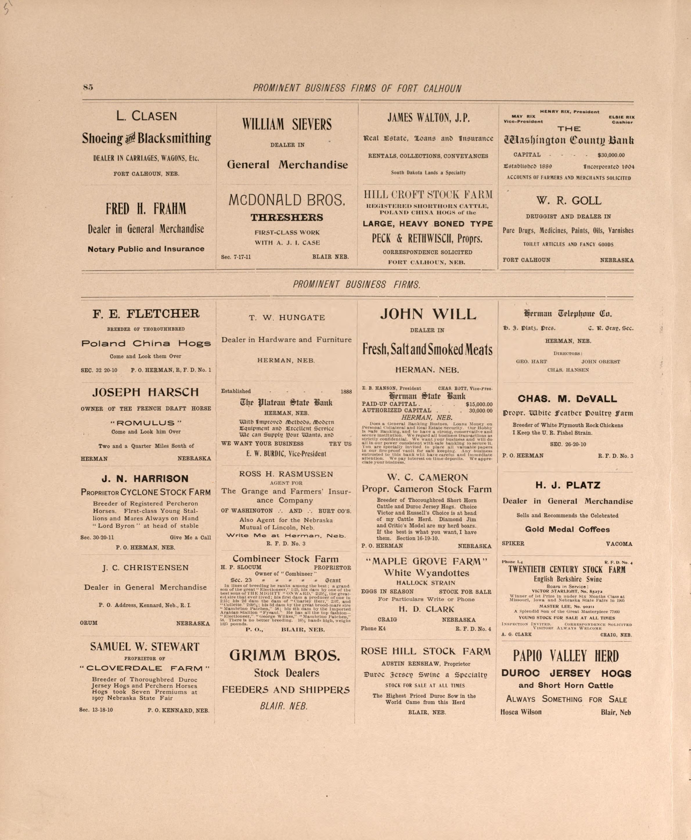 Business Firms In Blair, P. 4 from Plat Book of Washington County, Nebraska : Containing Carefully Prepared Township Plats, Village Plats, Analysis of U.S. Land System, State, United States and World Maps : Illustrated 1908 by Relic Map Company