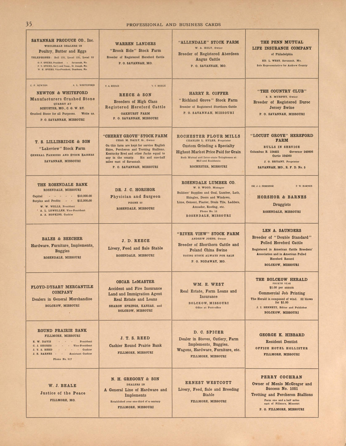 Professional and Business Cards, Pg. 2 from Plat Book of Andrew County, Missouri 1909 by Relic Map Company