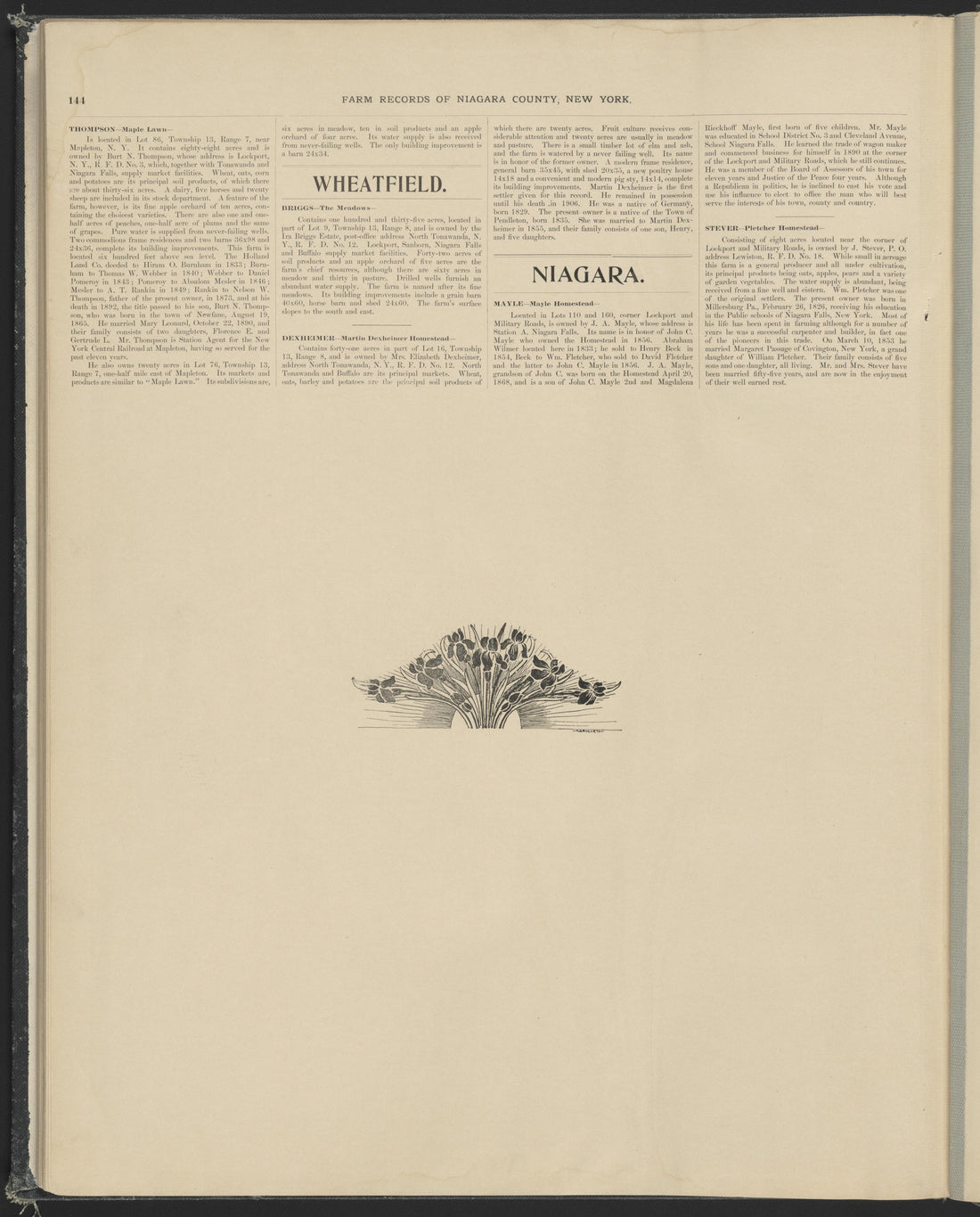 This old map of New York, New York (State), Niagara County, was created by Century Map Company|Ogden, L. J. G.|Westgard, William in 1908