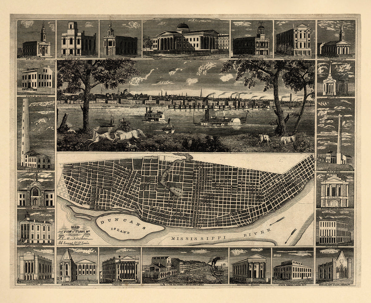 Map and View of St. Louis, Mo 1848 by Relic Map Company