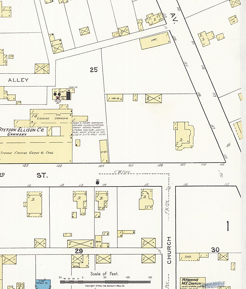 This old map of Camden, Kent County, Wyoming was created by Sanborn Map Company in 1919
