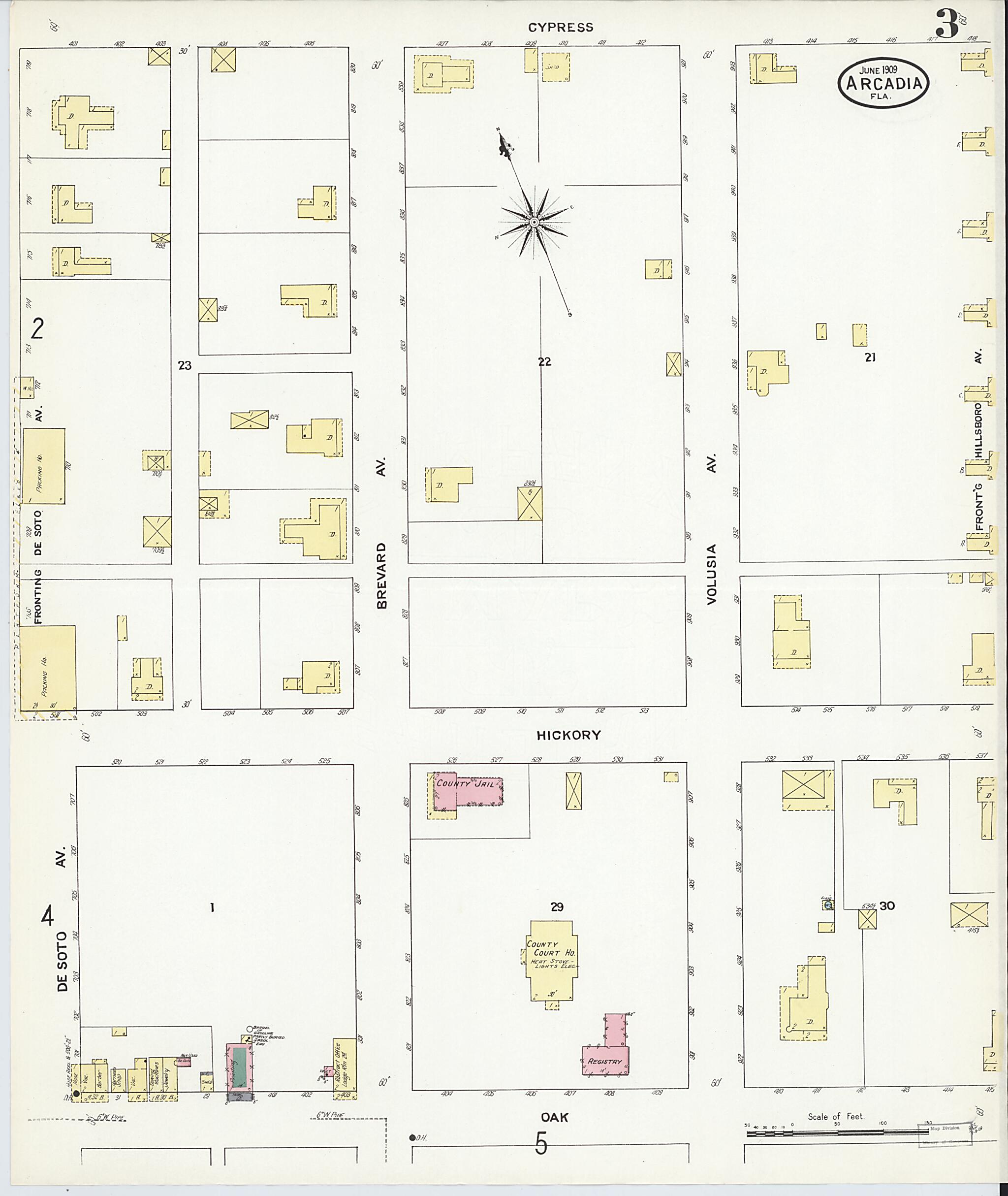 This old map of Arcadia, Desoto County, Florida was created by Sanborn Map Company in 1909