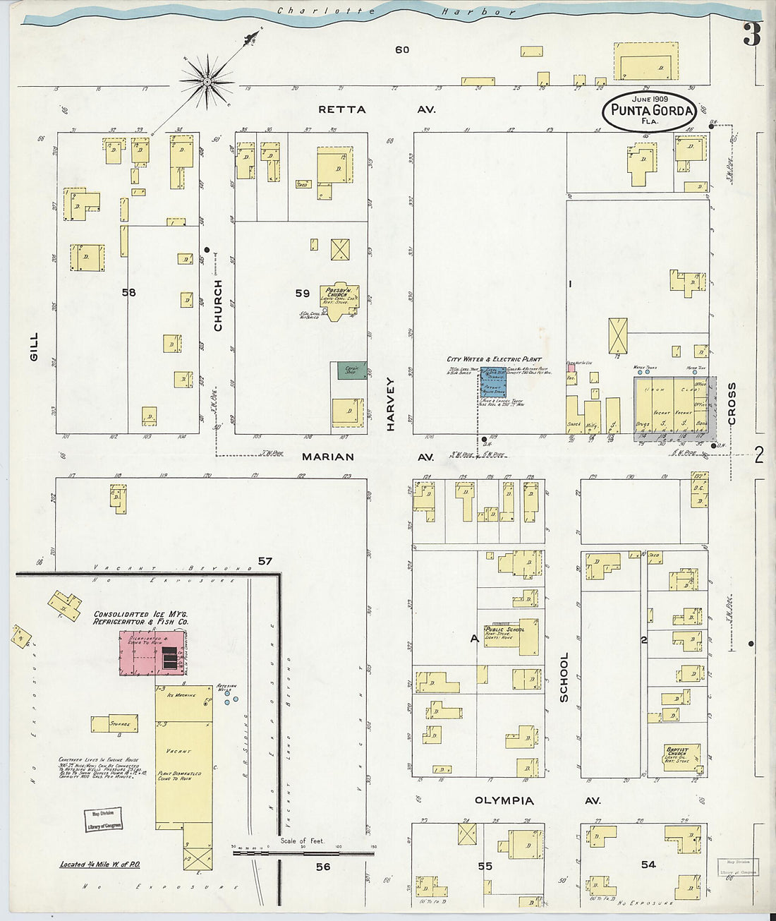 This old map of Punta Gorda, Charlotte County, Florida was created by Sanborn Map Company in 1909