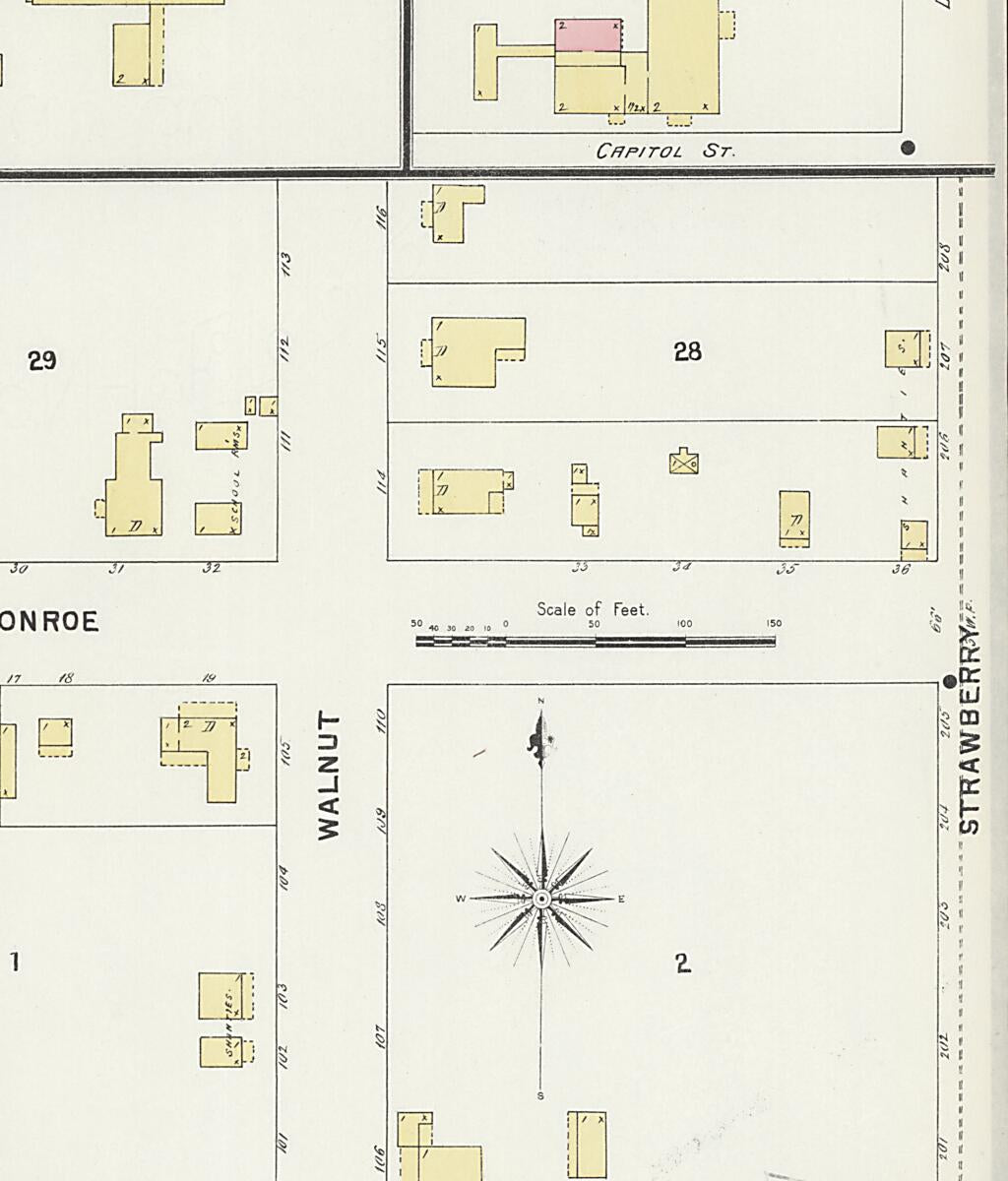 This old map of Demopolis, Marengo County, Alabama was created by Sanborn Map Company in 1897