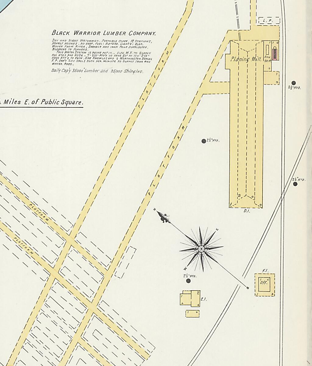 This old map of Demopolis, Marengo County, Alabama was created by Sanborn Map Company in 1903