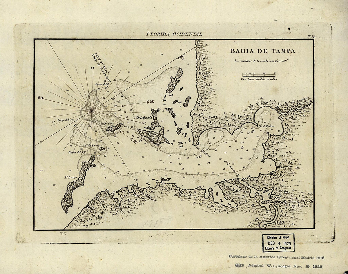 Bahia De Tampa 1809 by Relic Map Company