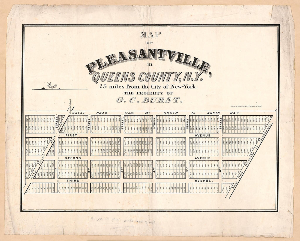 Map of Pleasantville In Queens County, New York : 25 Miles from the City of New York 1880 by Relic Map Company