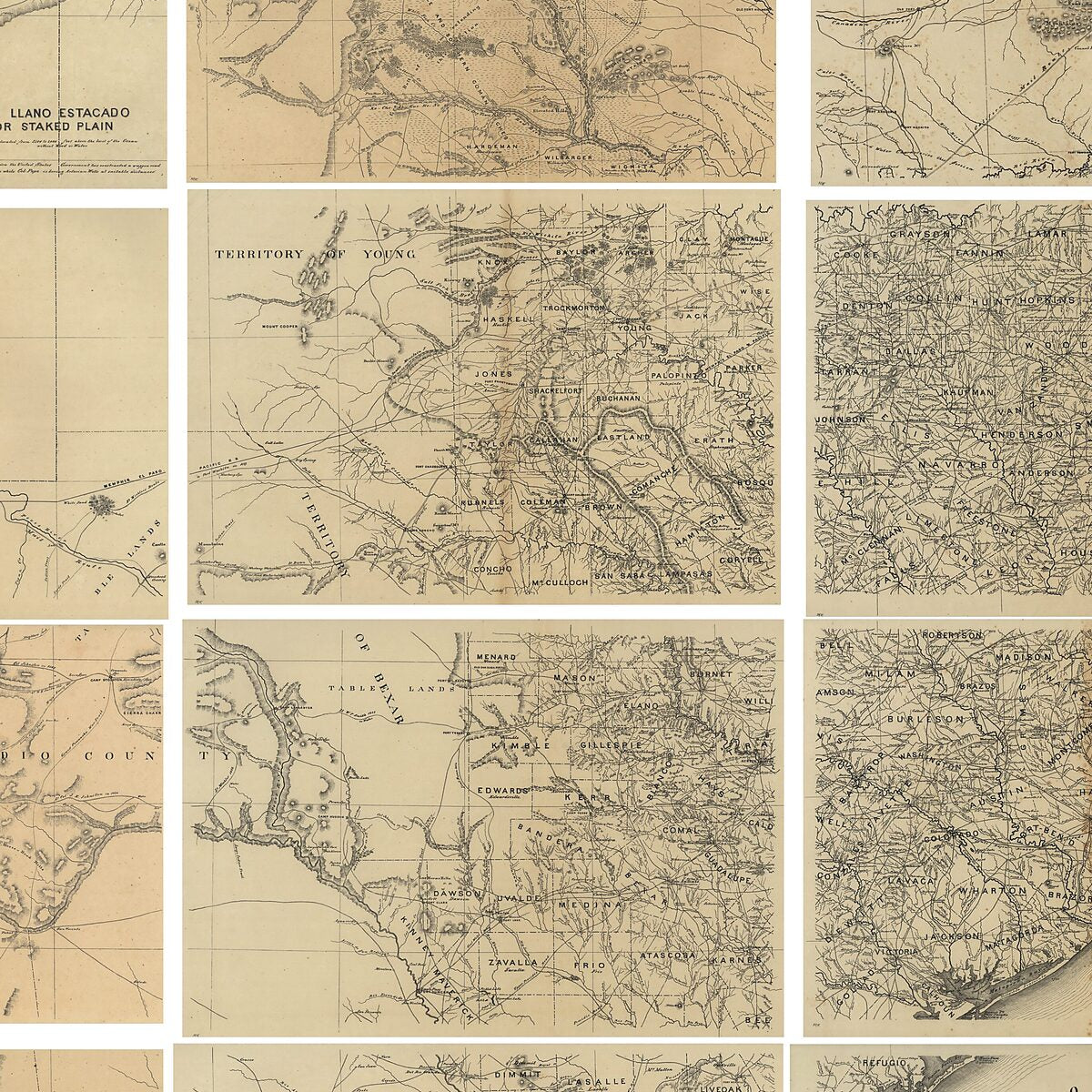 This old map of Map of the State of Texas from 1865 was created by G. L. Gillespie, Helmuth Holtz in 1865