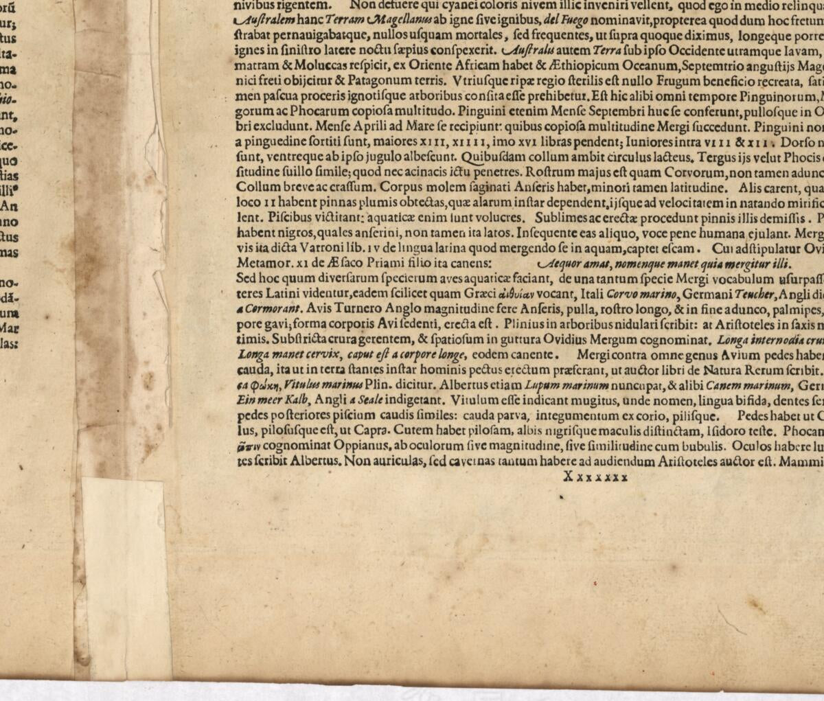 This old map of Exquisita & Magno Aliquot Mensium Periculo Lustrata Et Iam Retecta Freti Magellanici Facies : Eijgentlicke Asbeeldinghe Der Magellanischer Strate Die Nu Met Veel Gevaers Eitelijeke Maenden Doorsien Van Nieus Ondecktis from 1611 was create