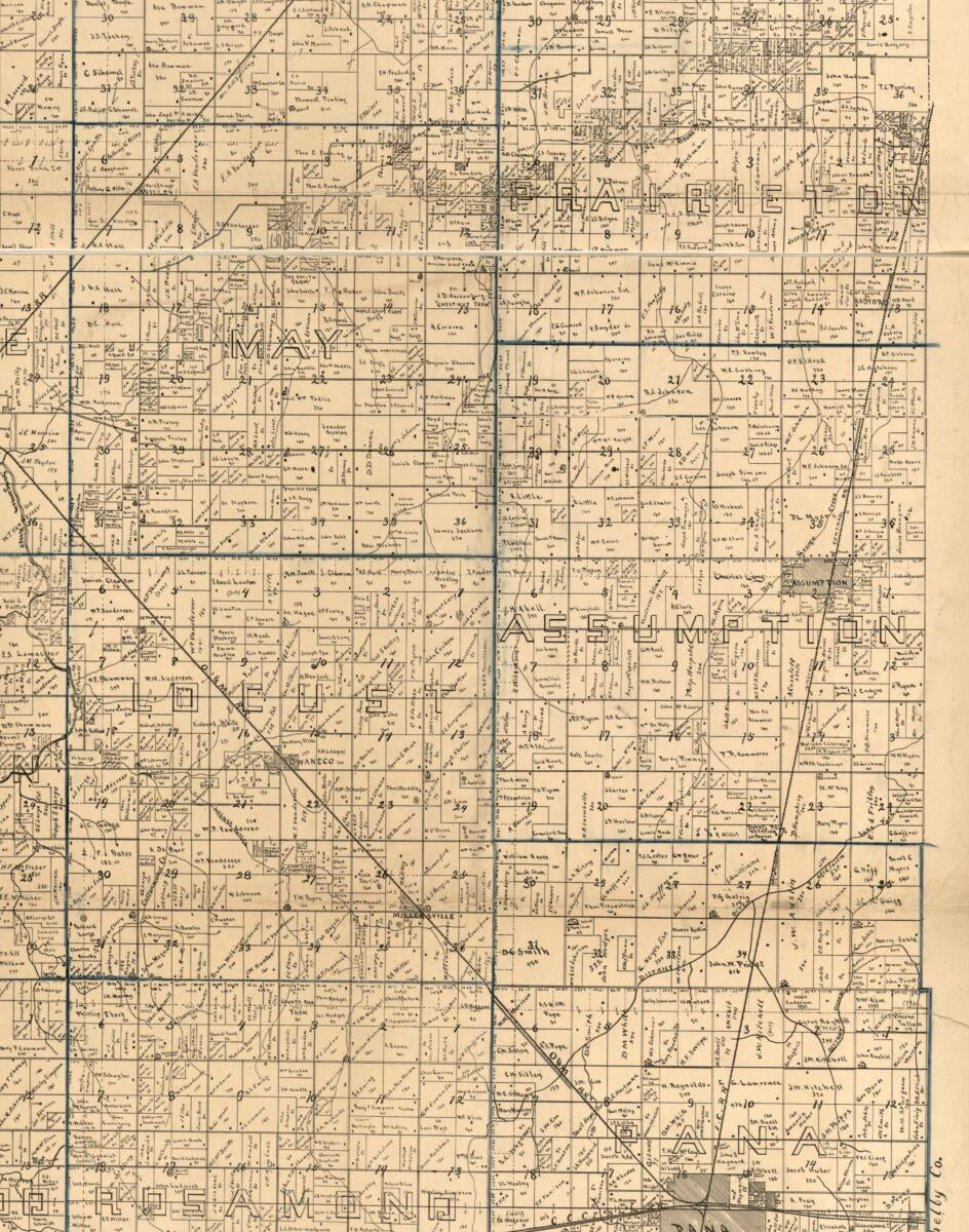 This old map of Herald Despatch Premium Map of Christian County, Illinois from 1893 was created by  Herald Despatch Co in 1893