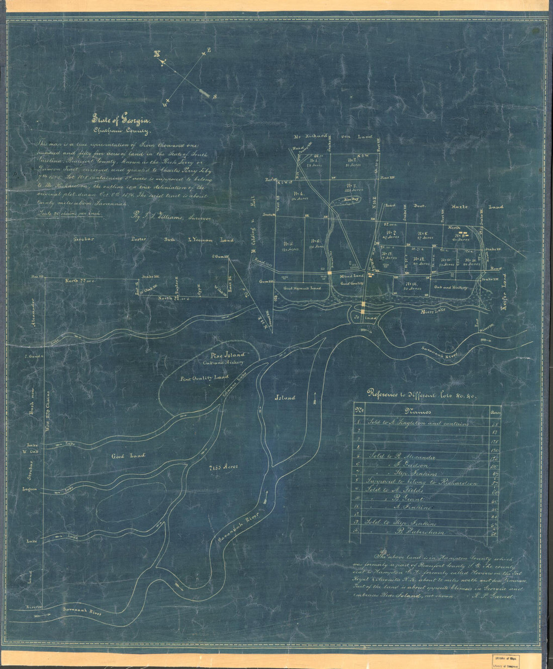 This old map of State of Georgia, Chatham County from 1874 was created by F. T. Williams in 1874