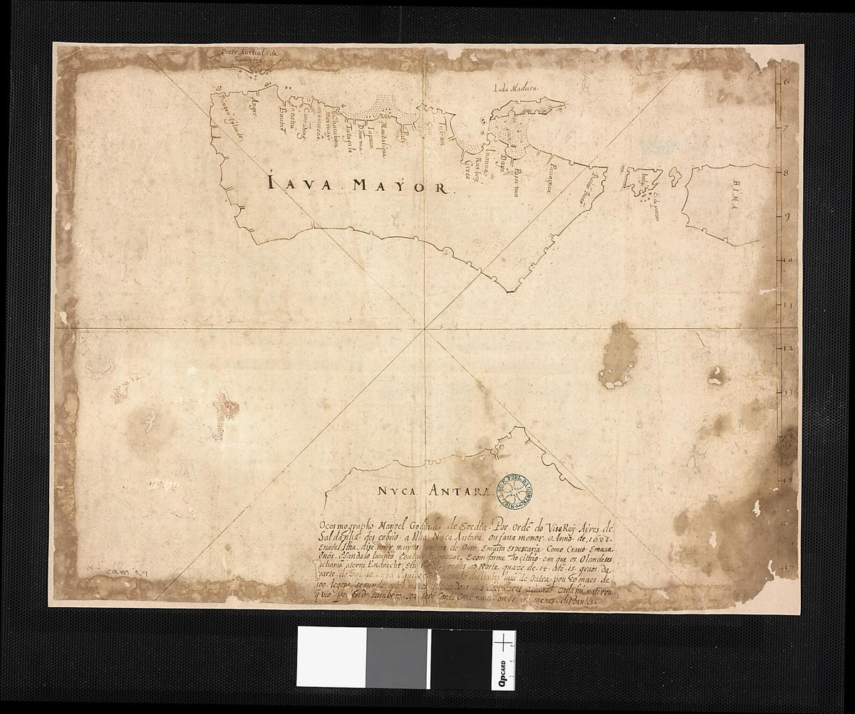 Java and Australia. (Iava Maior E Nuca Antara Java E Australia) 1630 by Relic Map Company