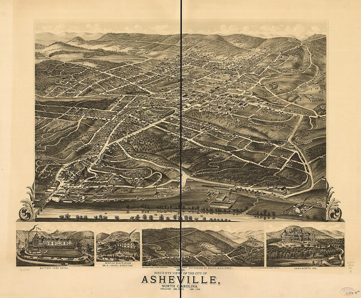 Bird&