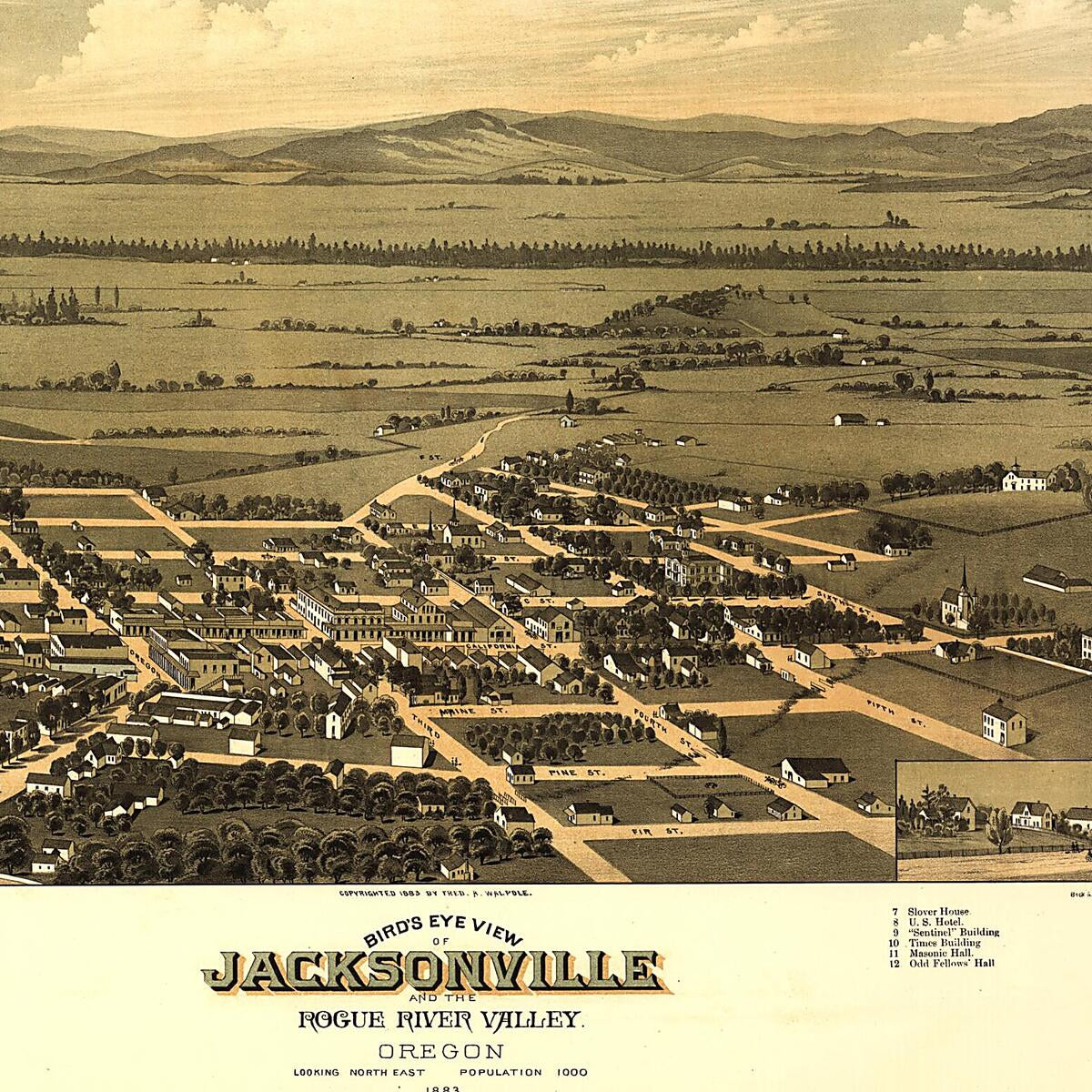 This old map of Bird&