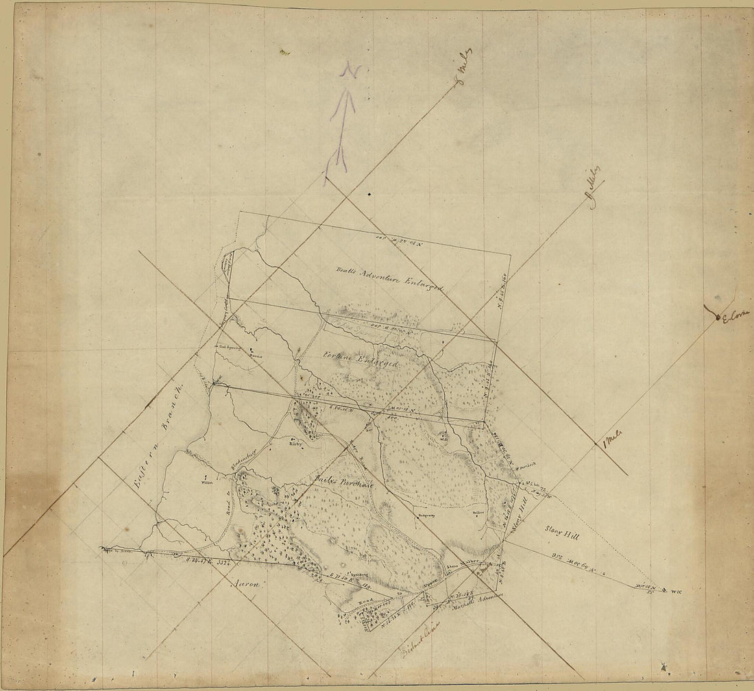 This old map of Property Survey Map of the Eastern End of Washington D.C. Showing Land Tracts and Householders&