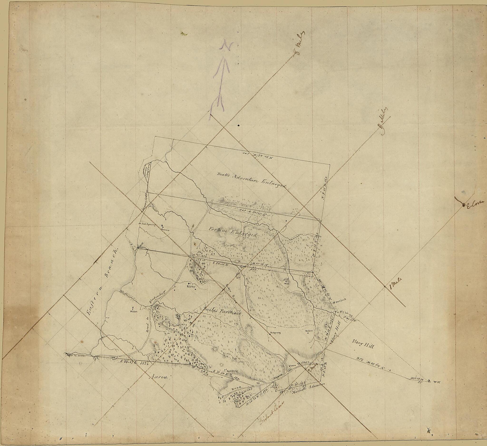 This old map of Property Survey Map of the Eastern End of Washington D.C. Showing Land Tracts and Householders&