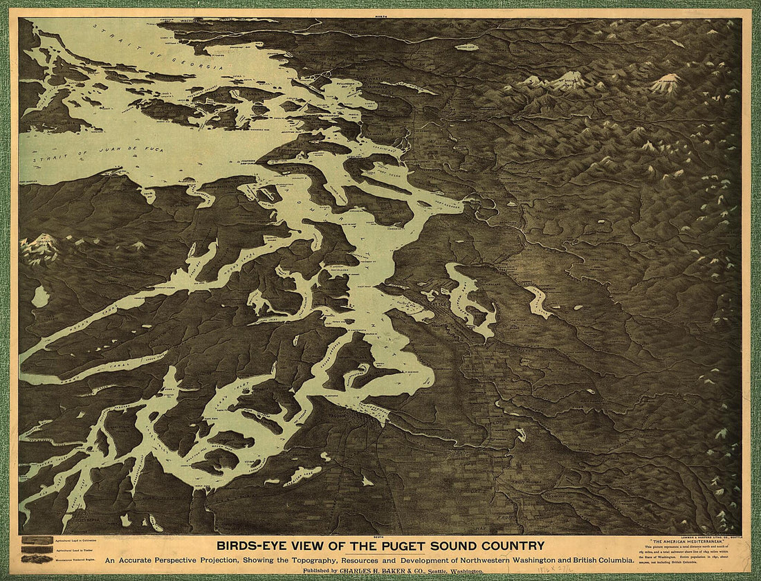 This old map of Bird&