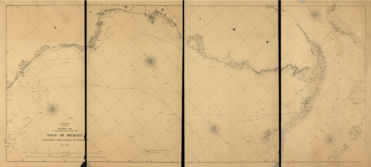 Preliminary Chart of the Northeastern Part of the Gulf of Mexico, Including the Strait of Florida. Autographic Transfer in 1861 by Relic Map Company