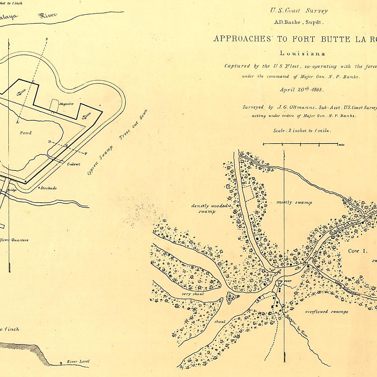 This old map of Approaches to Fort Butte La Rose, Louisiana from 1863 was created by J. G. Oltmanns,  United States Coast Survey in 1863