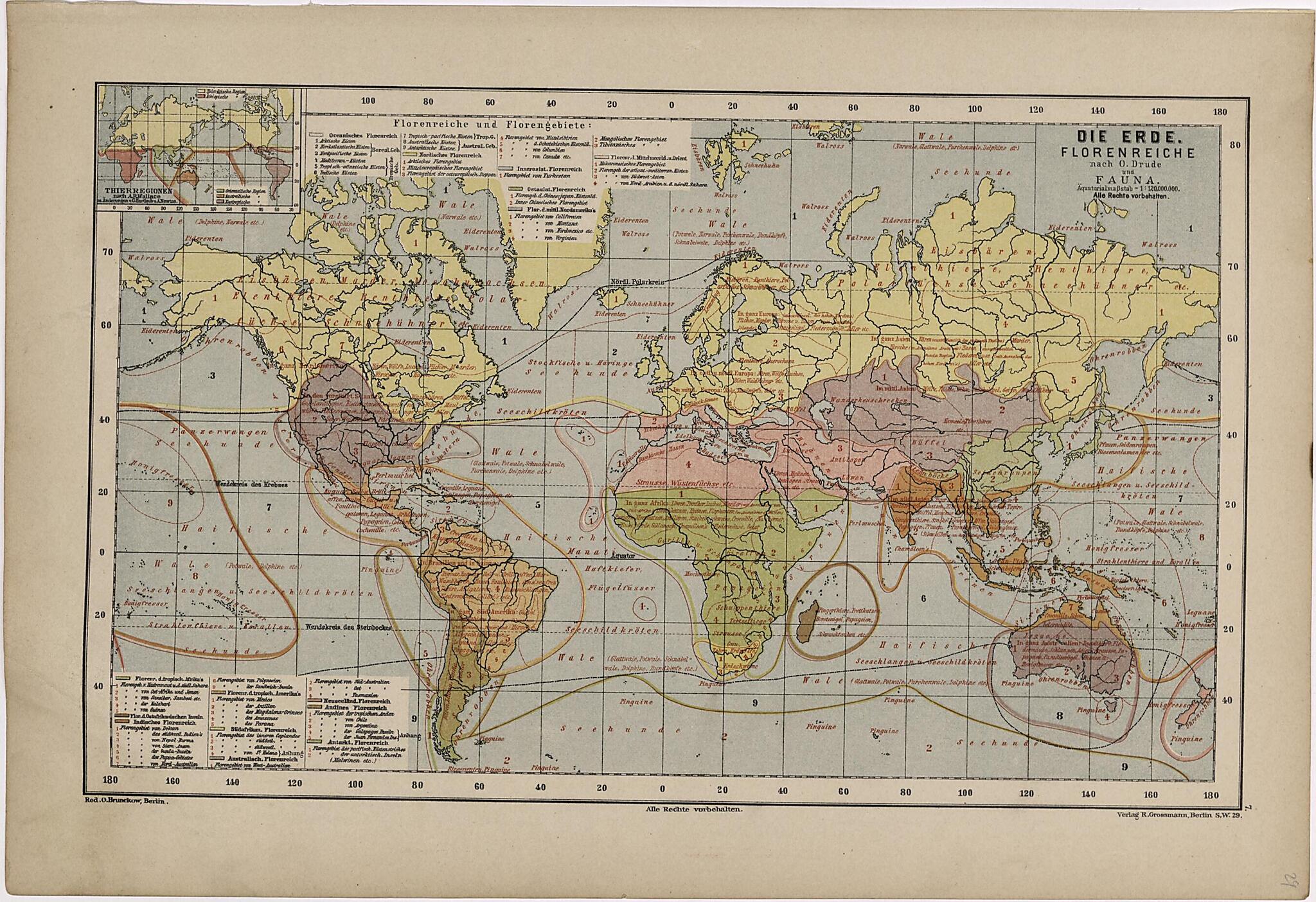 This old map of Die Erde Florenreiche from Neuer Grosser Hand-Atlas from 1894 was created by Verlag Von R. Grossmann in 1894