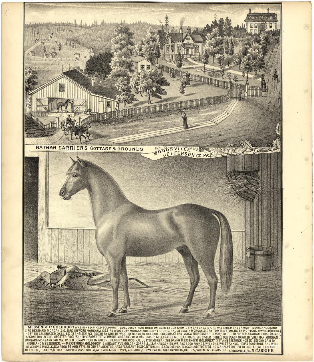 This old map of Nathan Carriers Cottage & Grounds from Caldwell&