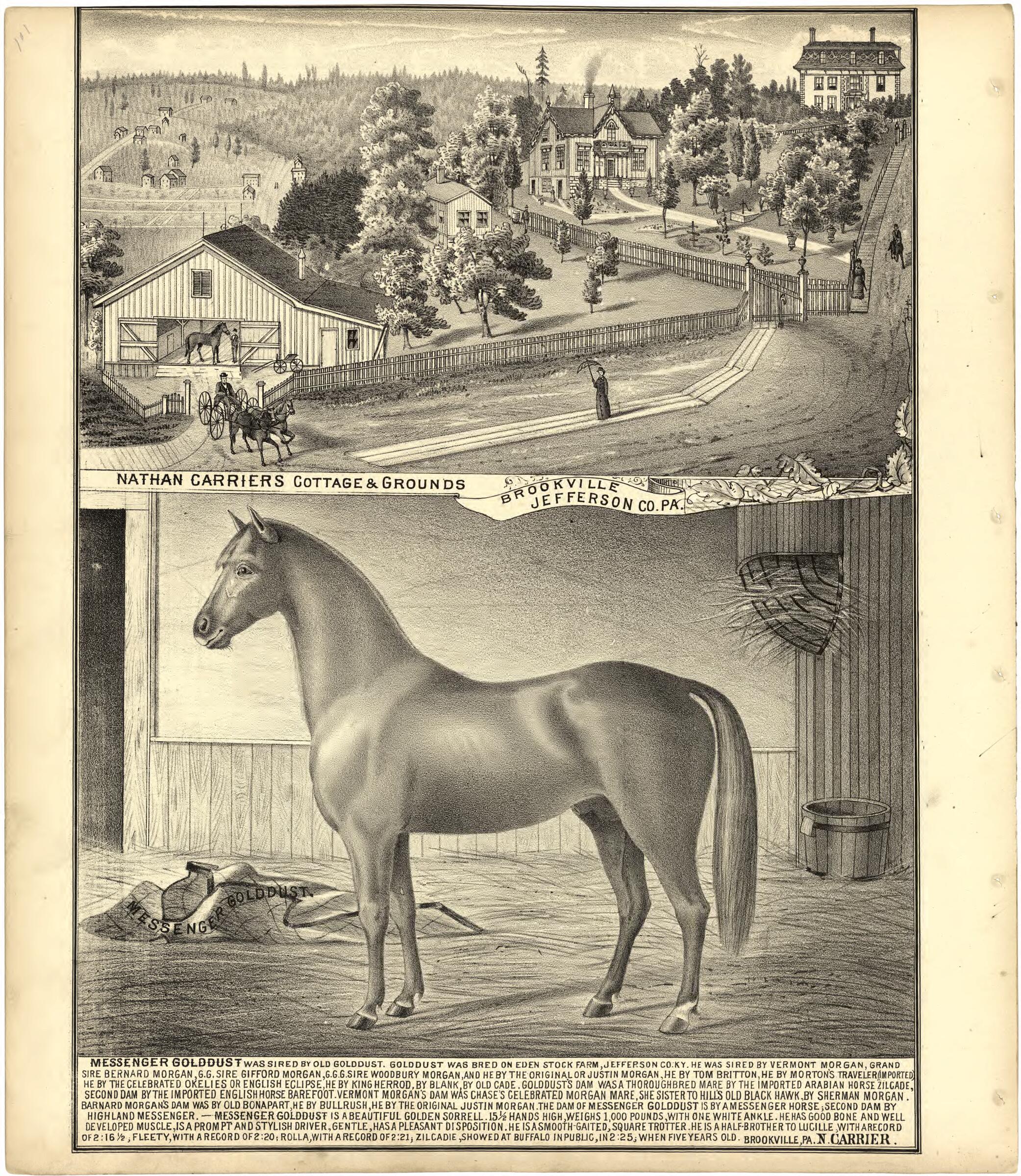 This old map of Nathan Carriers Cottage & Grounds from Caldwell&