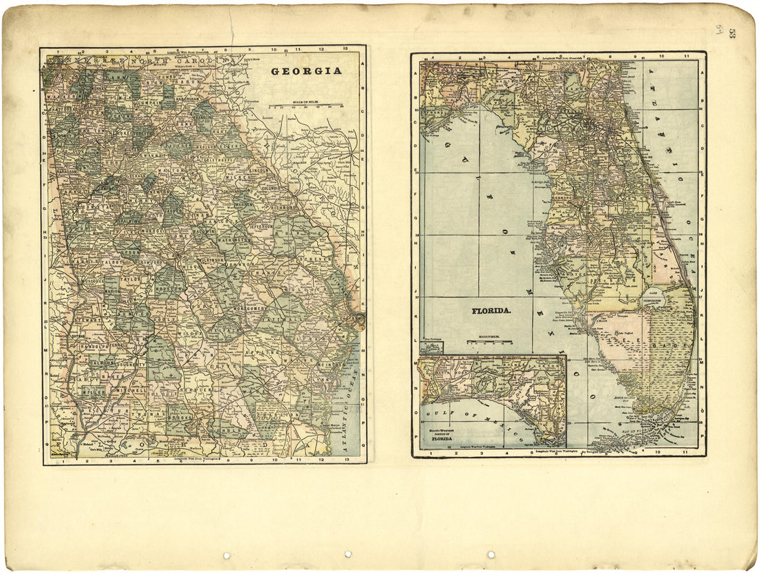 Georgia; Florida from Riddell&