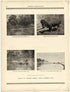 Illustrations from Johnson&