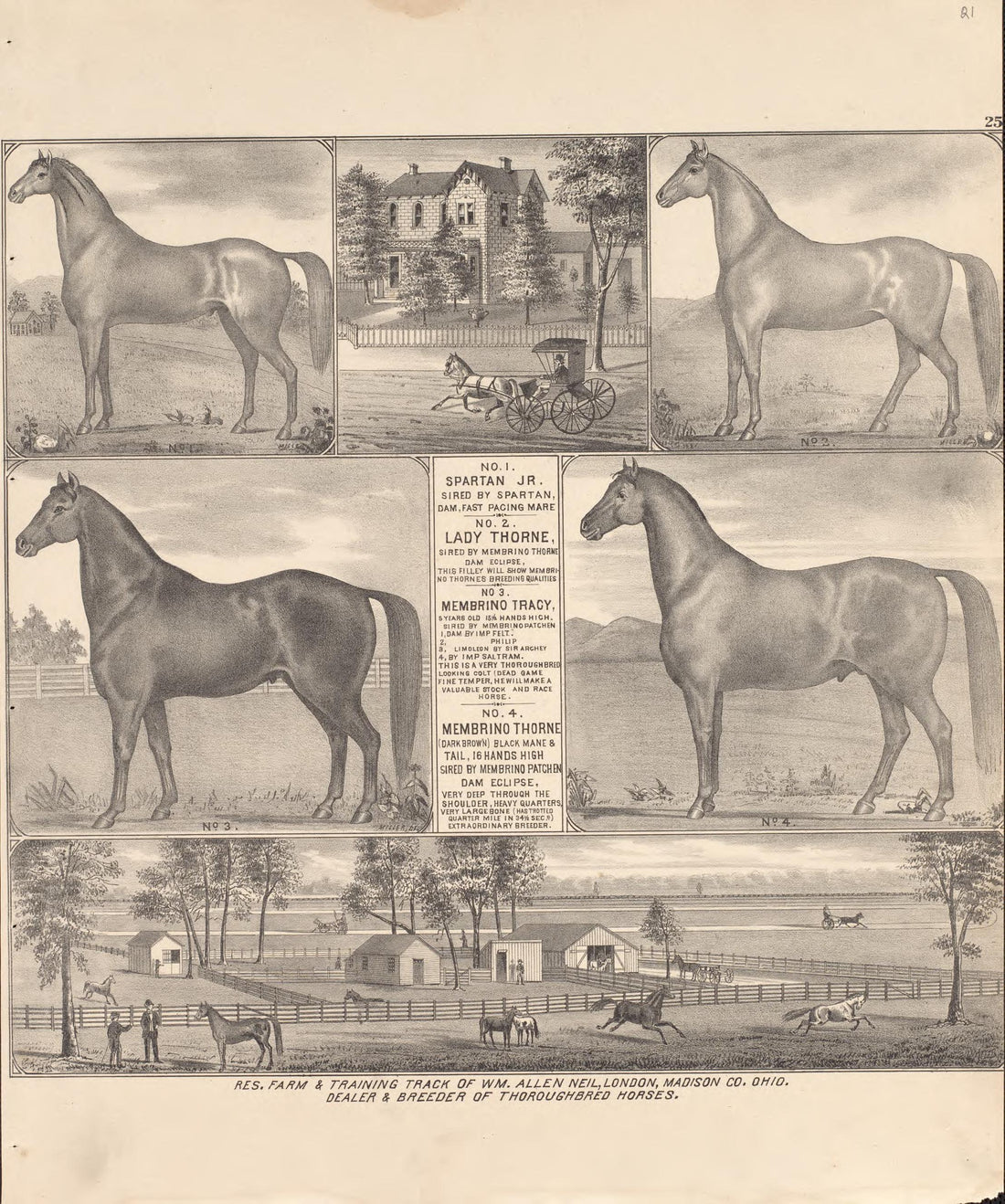 6 Views of Property from Caldwell&