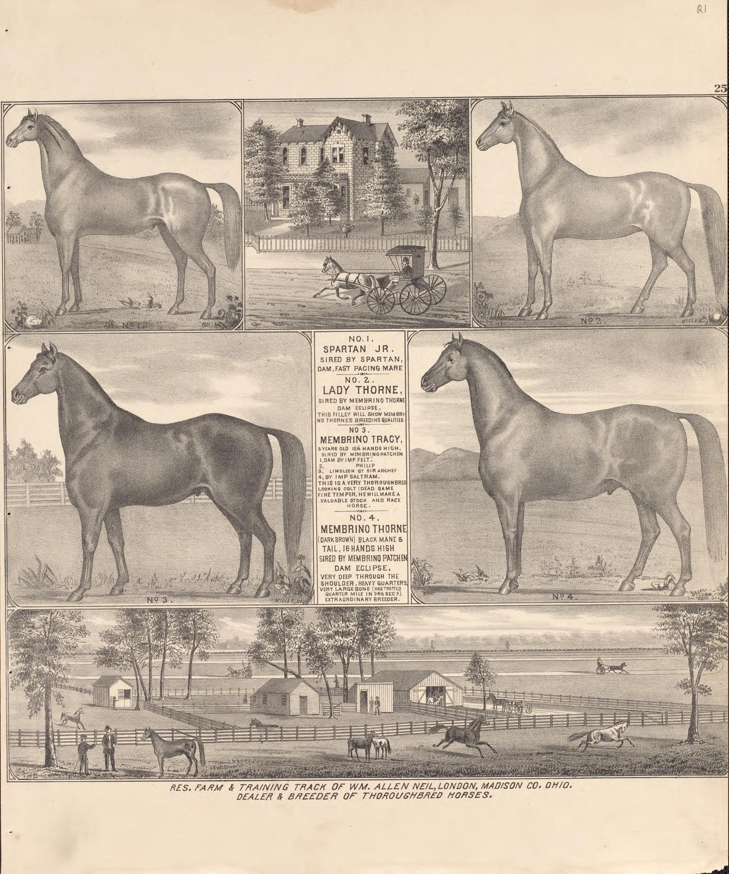 6 Views of Property from Caldwell&
