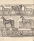6 Views of Property from Caldwell&