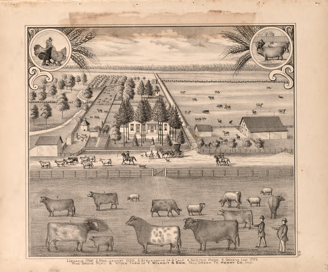 View of Wilhoit and Sons Farm from an Illustrated Historical Atlas of Henry County, Indiana 1875 by Relic Map Company