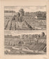 Views of Peed and Pierce Residences from an Illustrated Historical Atlas of Henry County, Indiana 1875 by Relic Map Company